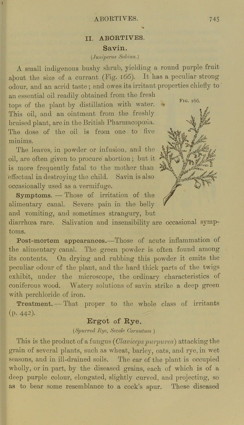 I ABORTIVES. 745 II. ABORTIVES. Savin. [Juniperiis ^ihina.) A small indigenous bushy shrub, yielding a round purple fruit a|DOut the size of a currant (Fig. i66). It'has a peculiar strong- odour, and an acrid taste; and owes its irrita.nt properties chiefly to' an essential oil readily obtained from the fresh tops of the plant by distillation with water. This oil, and an ointment fi'om the freshly bruised plant, are in the British Phai-macopoeia. minims. The leaves, in powder or infusiou, and the oil, are often given to procure' abortion; but it is more frequently fatal to the mother than effectual in destroying the child. Savin is also occasionally used as a vermifuge. Symptoms. — Those of irritation of the alimentary canal. Severe pain in the belly and vomiting, and sometimes strangury, but diarrhoea rare. Salivation and insensibility are occasional symp- toms. Post-mortem appearances.—Those of acute inflammation of the alimentary canal. The green powder is often found among its contents. On drying and rubbing this powder it emits the peculiar odour of the plant, and the hard thick parts of the twigs exhibit, under the microscope, the ordinary chai-acteristics of coniferous w-ood. Watery solutions of savin strike a deep green with perchloride of iron. Treatment. — That proper to the whole class of irritants (p. 442). Erg-ot of Rye. (Spurred llye, Secede Cornutum ) This is the product of a fungus {Claviceps •purimrerx) attacking the grain of several plants, such as wheat, barley, oats, and rye, in wet seasons, and in ill-drained soils. The ear of the plant is occupied wholly, or in part, by the diseased grains, each of which is of a deep purple colour, elongated, slightly curved, and projecting, so as to bear .some resemblance to a cock's spur. These diseased