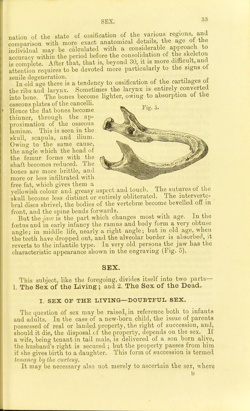 nation of the slate of ossification ot the yanous regions, and comparison with more exact anatomical details the age ot the individnal may he calcnlated with a considerable approach to accuracy within the period before the consolidation ol the skeleton is complete. After that, that is, beyond 30, it is more difficult, and attention requires to be devoted more particularly to the signs ot senile degeneration. _ , „ In old age there is a tendency to ossification of the cartilages ot the ribs and laryuK. Sometimes the larynx is entirely converted into bone. The bones become lighter, owing to absorption ot tlie osseous plates of the cancelli. Hence the flat bones become thinner, through the ap- proximation of the osseous laminaj. This is seen in the skull, scapula, and ilium. Owing to the same cause, the angle which the head of the femur forms with the shaft becomes reduced. The bones are more brittle, and more or less infiltrated with free fat, which gives them a -, , , mi i e ,\ yellowish colour and greasy aspect and touch. The sutures ot the skull become less distinct or entirely obliterated. The interverte- bral discs shrivel, the bodies of the vertebra become bevelled oH in front, and the spine bends forwards. But the jcm is the part which changes most with age. in the foetus and in early infancy the ramus and body form a very obtuse angle; in middle life, nearly a right angle; but in old age, when the teeth have dropped out, and the alveolar border is absorbed, it reverts to the infantile type. In very old persons the jaw has the characteristic appearance shown in the engraving (Pig. 5). SEX. This subject, like the foregoing, divides Itself into two parts— 1. The Sex of the Living; and 2. The Sex of the Dead. I. SEX OF THE LIVING—DOUBTFUL SEX. The question of sex may be raised, in reference both to infants and adults. In the case of a new-born child, the issue of parents possessed of real or landed property, the right of succession, and, should it die, the disposal c f the property, depends on the sex. If a wife, being tenant in tail male, is delivered of a son born alive, the husband's right is secured ; but the property passes from him if she gives birth to a daughter. This form of auccession is termed tenancy hy the curtesy. It may be necessary also not merely to ascertain the sex, where u