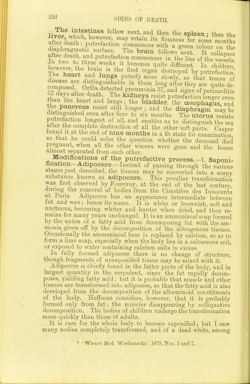 iiitestines follow next, and then the spleen • then th<^ liver w nch, however, may retain its firmness for some months after death : putrefaction commences with a green coZr on the diaphragmatic surface. The brain follows next. It collaDse^ after death, and pntrefaction commences in the line of the v3? In two to three weeks It becomes quite diffluent. In cSe ' Thrhe\ri%nrinL?' byputrSoS: di,P«<S n, . ^ + lungs putrefy more slowly, so that traces of disease are distinguishable m them long after they are quite de ?77av?it.°f ^--l signs'^of peilTrdit s tin. i l^^^;, kidneys resist putrefaction longer even than .he heart and lungs; the bladder, the oesophagus and the pancreas resist still longer ; and the diaphragm may be distinguished even after four to six months. The uterus resists putrefaction longest ot all, and enables us to distinguish the sex after the complete destruction of all the other soft parts. Casper tound It at the end of nine months in a fit state for examination so that he could solve the question whether the deceased died pregnant, when all the other viscera were gone and the bones almost separated from each other. Modifications of the putrefactive process.—1. Saponi- fication—Adipocere.—Instead of passing through the various staeresjust described, the tissues maybe converted into a soapy substance known as adipocere. This peculiar transformation was first observed by Fourcroy, at the end of the last century during the renioval of bodies from the Cimetiere des Innocents at Pans. Adipocere has an appearance intermediate between ±at and wax; hence its name. It is white or brownish, soft and unctuous, becoming whiter and harder when dried, and then re- mains for many years unchanged. It is an ammoniacal soap formed by the union of <'i fatty acid from decomposing fat with the am- monia given ofE by the decomposition of the nitrogenous tissues. Occasionally the ammoniacal base is reiDlaced by calcium, so as to form a lime soap, especially when the body lies in a calcareous soil, or exposed to water containing calcium salts in excess. In fully formed adipocere there is no change of structure, though fragments of unsaponified tissue may be mixed with it. Adipocere is chiefly found in the fatter parts of the body, and in largest quantity in the corpulent, since the fat rapidly decom- poses, yielding fatty acid; but it is probable that muscle and other tissues are transformed into adipocere, so that the fatty acid is also developed from the decomposition of the albuminoid constituents of the body. Hoffman considers, however, that it is probably formed only from fat; the muscles disappearing by colliquative decomposition. The bodies of children undergo the transformation more quickly than those of adults. It is rare for the whole body to become saponified; but I saw many bodies completely transformed, and of a dead white, among « ' Wiener Med. ochenschr.' 1879, Nos. 5 aud 7.