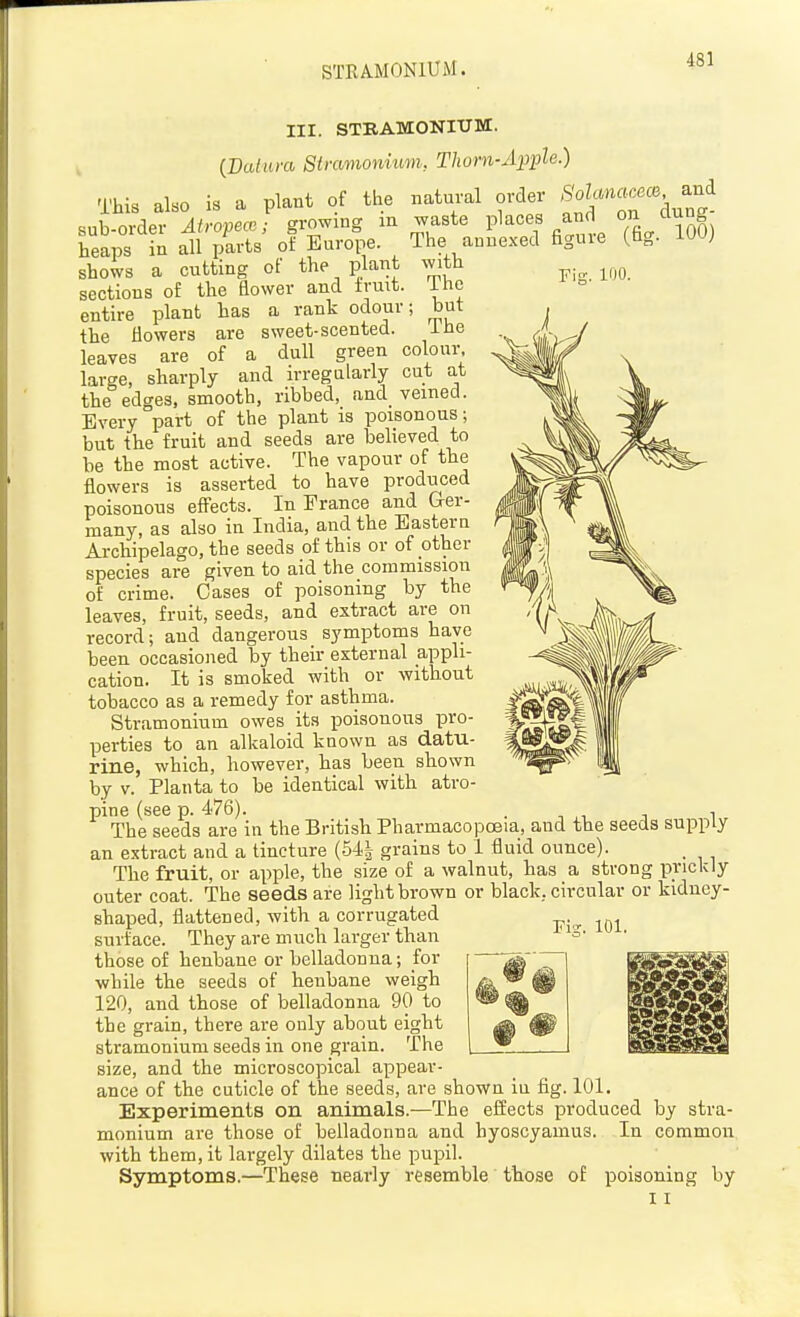 STRAMONIUM. III. STRAMONItTM. (Da/'ura Siramionium, Thom-Apple.) plant of the natural order Solanacece, and waste places and on The annexed figure (fig with dung- . 100) The but The Fisr. 100. This also is a sub-order Atropece; growin£ heaps in all parts of Europe, shows a cutting of the plant sections of the flower and frmt. entire plant has a rank odour the flowers are sweet-scented, leaves are of a dull green colour large, sharply and irregularly cut at the edges, smooth, ribbed, and veined. Every part of the plant is poisonous; but the fruit and seeds are believed to be the most active. The vapour of the flowers is asserted to have produced poisonous effects. In Prance and Ger- many, as also in India, and the Eastern Ai-chipelago, the seeds of this or of other species are given to aid the commission of crime. Cases of poisoning by the leaves, fruit, seeds, and extract are on record; and dangerous symptoms have been occasioned by their external appli- cation. It is smoked with or without tobacco as a remedy for asthma. Stramonium owes its poisonous pro- perties to an alkaloid known as datu- rine, which, however, has been shown by V. Planta to be identical with atro- pine (see p. 476). . , The seeds are in the British Pharmacopoeia, aud the seeds supply an extract and a tincture (54| grains to 1 fluid ounce). The fruit, or apple, the size of a walnut, has a strong prickly outer coat. The seeds are light brown or black, circular or kidney- shaped, flattened, with a corrugated surface. They are much larger than those of henbane or belladonna; for while the seeds of henbane weigh 120, and those of belladonna 90 to the grain, there are only about eight stramonium seeds in one grain. The size, and the microscopical appear- ance of the cuticle of the seeds, are shown iu fig. 101. Experiments on animals.—The eSects produced by stra- monium are those of belladonna and hyoscyamus. In common with them, it largely dilates the pupil. Symptoms.—These nearly resemble those of poisoning by 11