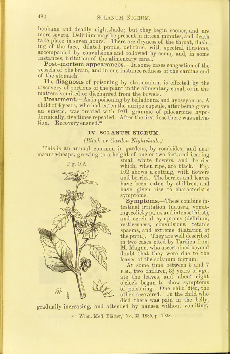 SOLANUM lilGEUM. henbane and deadly nightshade; but they begin sooner, and are more severe. Delirium may be present in fifteen minutes, and death take place in seven hours. There are dryness of the throat, flush- ing of the face, dilated pupils, delirium, with spectral illusions, accompanied hj convulsions and followed by coma, and, in some instances, irritation of the alimentary canal. Post-mortem appearances.—In some cases congestion of the vessels of the brain, and in one instance redness of the cardiac end of the stomach. The diagnosis of poisoning by stramonium is eifected by the discovery of portions of the plant in the alimentary canal, or in the matters vomited or dischai-ged from the bowels. Treatment.—As in poisoning by belladonna and hyoscyamus. A child of 4 years, who had eaten the unripe capsule, after being given an emetic, was treated with O'Ol gramme of pilocarpine hypo- dermically, five times repeated. After the tirst dose there was saliva- tion. Recovery ensued.* IV. SOLANUM NIGRUM. (Blach or Garden Nigliisliade.) This is an annual, common in gardens, by roadsides, and neai' manure-heaps, growing to a height of one or two feet, and bearing small white flowers, and berries which, when ripe, are black. Fig. 102 shows a cutting, with flowers and berries. The berries and leaves have been eaten by children, and have given rise to characteristic symptoms. Symptoms.—These combine in- testinal irritation (nausea, vomit- ing, colicky pains and intense thirst), and cerebral symptoms (delirium, restlessness, convulsions, tetanic spasms, and extreme dilatation of the pupil). They are well described in two cases cited by Tardieu from M. Magne, who ascertained beyond doubt that they were due to the leaves of the solanum nigi-um. At some time between 5 and 7 P.M., two children, 2>\ years of age, ate the leaves, and about eight o'clock began to show symptoms of poisoning. One child died, the other recovered. In the child who died there was pain in the belly, gradually increasing, and attended by nausea without vomiting. « ' Wien. Med, Blatter,' No. 33, 1885, p. 1028.