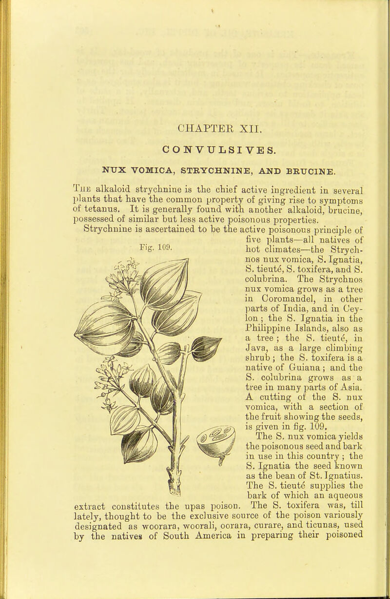 CHAPTER XII. CONVULSIVE S. NTJX VOMICA, STRYCHNINE, AND BRUCINE. TiiE alkaloid strychnine is the chief active ingredient in several plants that have the common property of giving rise to symptoms of tetanus. It is generally found with another alkaloid, brucine, possessed of similar but less active poisonous properties. Strychnine is ascertained to be the active poisonous principle of five plants—all natives of hot climates—the Strych- nos nux vomica, S. Ignatia, S. tieute, S. toxifera, and S. colubrina. The Strychnos nux vomica grows as a tree in Coromandel, in other parts of India, and in Cey- lon ; the S. Ignatia in the Philippine Islands, also as a tree ; the S. tieute, in Java, as a large climbing shrub ; the S. toxifera is a native of Guiana ; and the S. colubrina grows as a tree in many parts of Asia. A cutting of the S. nux vomica, with a section of the fruit showing the seeds, is given in fig. 109. The S. nux vomica yields the poisonous seed and bark in use in this country ; the S. Ignatia the seed known as the bean of St. Ignatius. The S. tieute supplies the bark of which an aqueous extract constitutes the upas poison. The S. toxifera was, till lately, thought to be the exclusive source of the poison variously designated as woorara, woorali, oorara, curare, and ticunas, used by the natives of South America in preparing their poisoned Fig. 109.