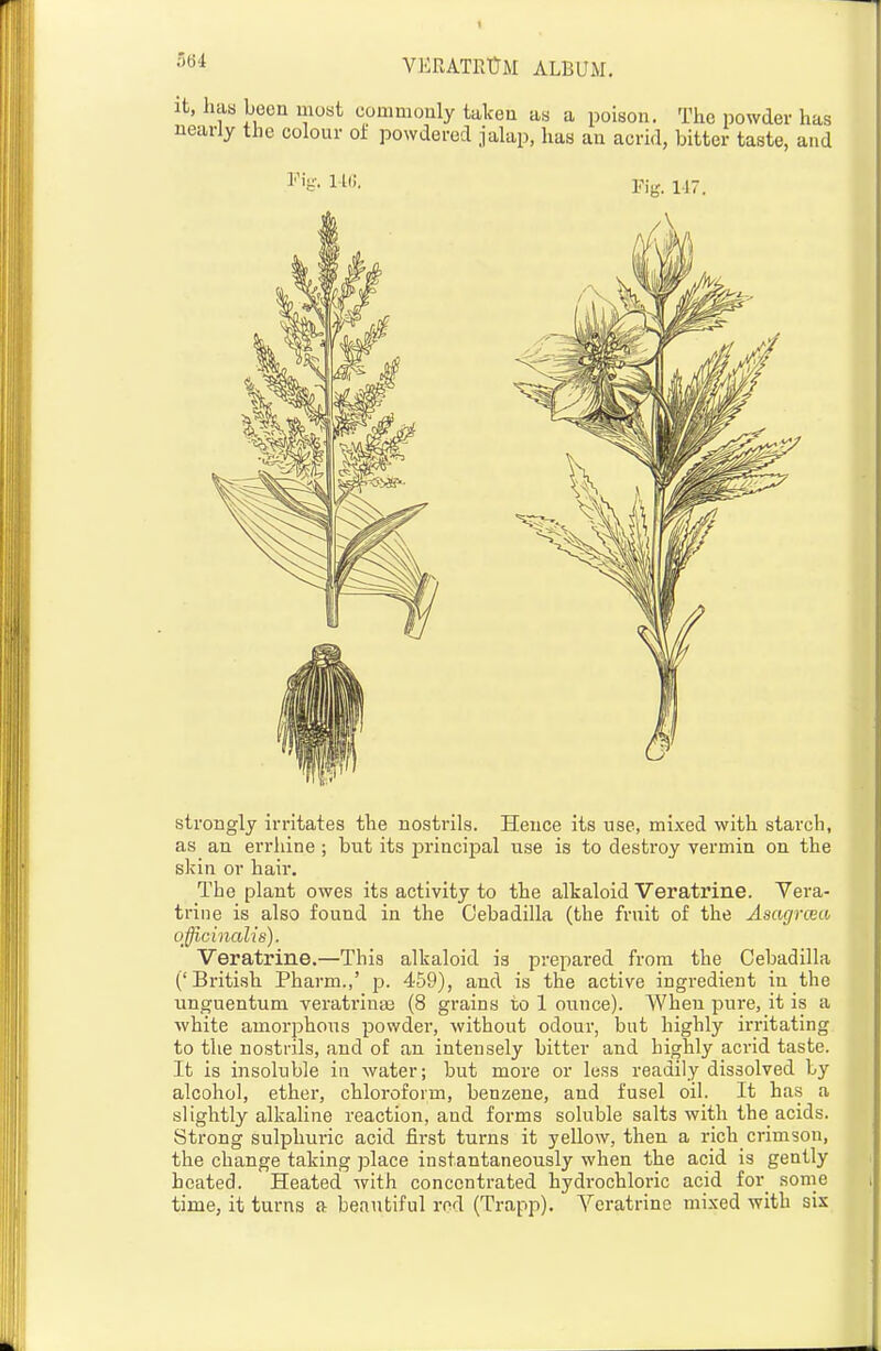 it, has been most commonly taken as a poison. The powder has nearly the colour of powdered jalap, has an acrid, bitter taste, and Fig. UiK strongly irritates the nostrils. Hence its use, mixed with starch, as an errhine; but its principal use is to destroy vermin on the skin or hair. The plant owes its activity to the alkaloid Veratrine. Yera- trine is also found in the Cebadilla (the fruit of the Asagrceo. officinalis). Veratrine.—This alkaloid is prepared from the Cebadilla ('British Pharm.,' p. 459), and is the active ingredient in the unguentum veratrina3 (8 grains to 1 oiince). When pure, it is a white amorphous powder, without odour, but highly irritating to the nostrils, and of an intensely bitter and highly aci'id taste. It is insoluble in water; but more or less readily dissolved by alcohol, ether, chloroform, benzene, and fusel oil. It has a slightly alkaline reaction, and forms soluble salts with the acids. Strong sulphui-ic acid first tuims it yellow, then a rich crimson, the change taking place instantaneously when the acid is gently heated. Heated with concentrated hydrochloric acid for some time, it turns a beautiful red (Trapp). Veratrine mixed with six