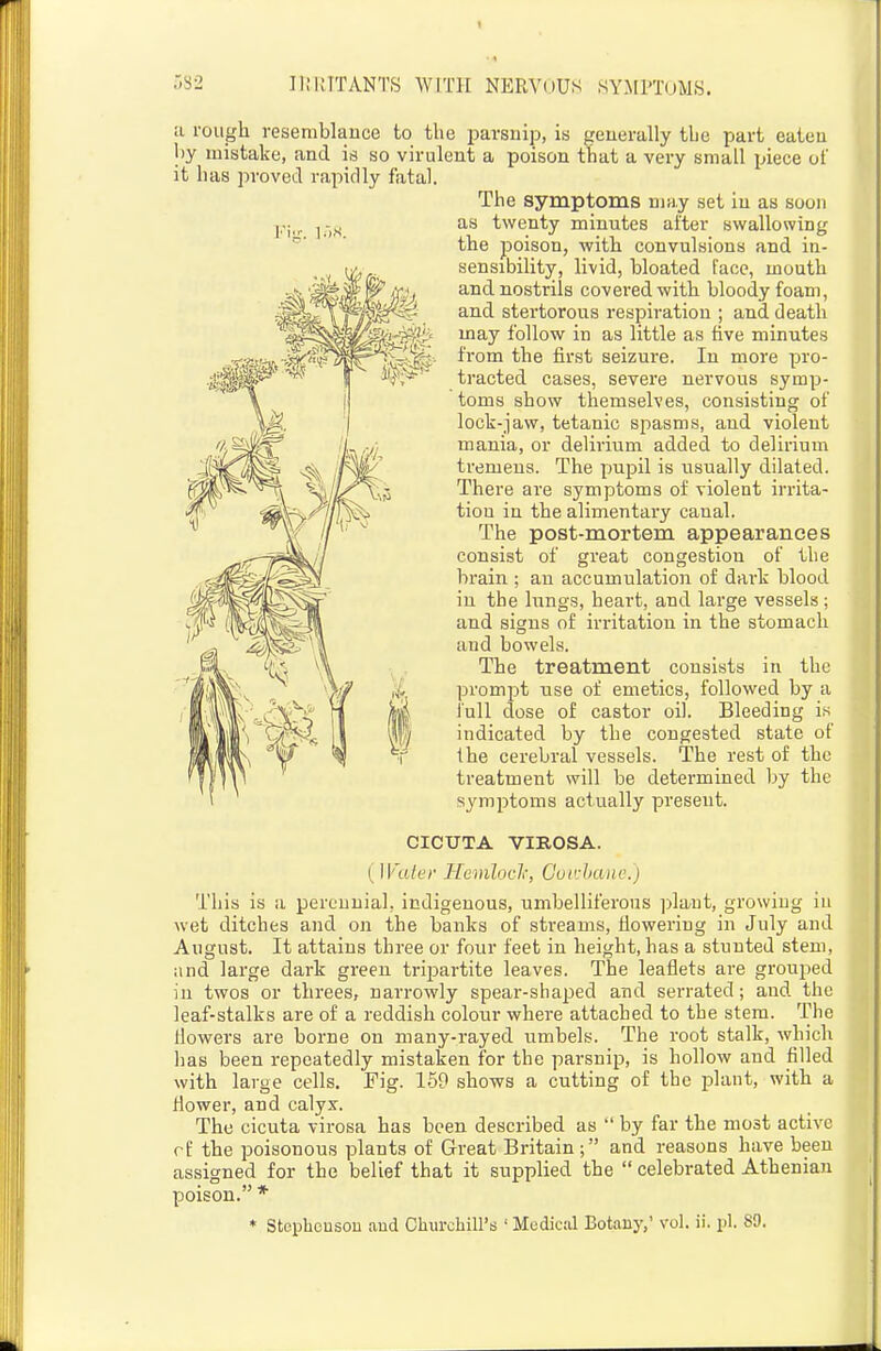 a rough resemblance to the parsnip, is generally the part eaten by mistake, and is so virulent a poison that a very small piece of it has proved rapidly fatal. The symptoms may set in as soon as twenty minutes after swallowing the poison, with convulsions and in- sensibility, livid, bloated face, mouth and nostrils covered with bloody foam, and stertorous respiration ; and death may follow in as little as five minutes from the first seizure. In more pro- tracted cases, severe nervous symp- toms show themselves, consisting of lock-jaw, tetanic spasms, and violent mania, or delirium added to delirium tremens. The pupil is usually dilated. There are symptoms of violent irrita- tion in the alimentary canal. The post-mortem appearances consist of great congestion of the brain ; an accumulation of dark blood in the lungs, heart, and large vessels ; and signs of irritation in the stomach and bowels. The treatment consists in the prompt use of emetics, followed by a full dose of castor oil. Bleeding is indicated by the congested state of the cerebral vessels. The rest of the treatment will be determined by the s^nnptoms actually present. CICUTA VIROSA. (]]''aler Hemloclc, CotrhcDii'.) This is a perennial, indigenous, umbelliferous ])laut, growing in wet ditches and on the banks of streams, flowering in July and August. It attains three or four feet in height, has a stunted stem, and large dark green tripartite leaves. The leaflets are grouped in twos or threes, narrowly spear-shaped and serrated; and the leaf-stalks are of a reddish colour where attached to the stem. The tlowers are borne on many-rayed umbels. The root stalk, which lias been repeatedly mistaken for the parsnip, is hollow and filled with large cells. Fig. 159 shows a cutting of the plant, with a flower, and calyx. The cicuta virosa has been described as  by far the most active rf the poisonous plants of Great Britain ; and reasons have been assigned for the belief that it supplied the  celebrated Athenian poison. * * Stephcosoii find Churchill's ' Medical Botany,' vol. ii. pi. 89.