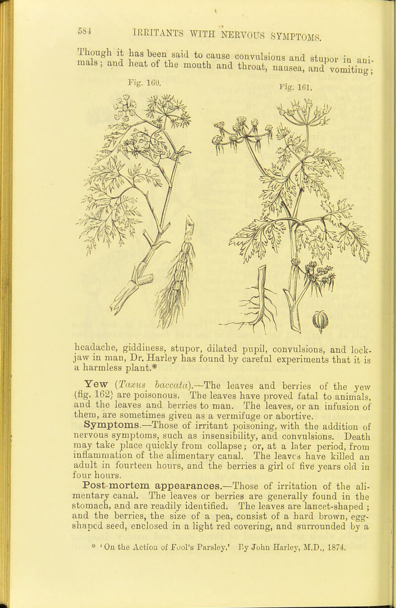 Though it has been said to cause conviilsioas and sfnnn,. • mals; aud heat of the niouth and throatrru^'atd'^or^^tir Fig. IGO. rig. ICl. headache, giddiness, stupor, dilated pupil, convulsions, and lock- jaw in man. Dr. Harley has found by careful experiments that it is a harmless plant.* Yew {Taxus baccata).—The leaves and berries of the yew (%. 162) are poisonous. The leaves have proved fatal to animals, and the leaves and berries to man. The leaves, or an infusion of them, are sometimes given as a vermifuge or abortive. Symptoms.—Those of irritant poisoning, with the addition of nervous symptoms, such as insensibility, and convulsions. Death may take place quickly from collapse; or, at a Inter period, from inflammation of the alimentary canal. The leaves have killed an adult in fourteen hours, and the berries a girl of five years old in four hours. Post-mortem appearances.—Those of irritation of the ali- mentary canal. The leaves or berries are generally found in the stomach, and are readily identified. The leaves are lancet-shaped ; aud the berries, the size of a pea, consist of a hai-d brown, egg- shaped seed, enclosed in a light red covering, and surrounded by a ' On the Actiou of Fuol's Parsley.' Ty John Harley, M.D., 1874.