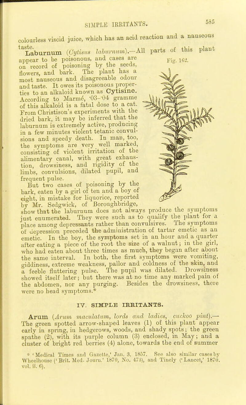 coloarless viscid jaice, which has an acid reaction and a nauseous ^'Laburnum (Oylisns lahurnmn).-Al\ parts of this plant appear to be poisonous, and cases are on record of poisoning by the seeds, flowers, and bark. The plant has a most nauseous and disagreeable odour and taste. It owes its poisonous proper- ties to an alkaloid known as Cytisine. According to Marme, •03--04 gramme of this alkaloid is a fatal dose to a cat. From Christison's experiments with the dried bark, it may bo inferred that the laburnum is extremely active, producing in a few minutes violent tetanic convul- sions and speedy death. In man, too, the symptoms are very _ well marked, consisting of violent irritation of the aUmentary canal, with great exhaus- tion, drowsiness, and rigidity of the limbs, convulsions, dilated pupil, and frequent pulse. But two cases of poisoning by the bark, eaten by a girl of ten and a boy of eight, in mistake for liquorice, reported by Mr. Sedgwick, of Boroughbridge, show that the laburnum does not always produce the symptoms just enumerated. They were such as to qualify the plant for a IDlace among depressants rather than convulsives. The symptoms of depression preceded the administration of tartar emetic as an emetic. In the boy, the symptoms set in an hour and a quarter after eating a piece of the root the size of a walnut; in the girl, who had eaten about three times as much, they began after about the same interval. In both, the first symptoms were vomiting, giddiness, extreme weakness, pallor and coldness of the skin, and a feeble fluttering pulse. The pupil was dilated. Drowsiness showed itself later; but there was at no time any marked pain of the abdomen, nor any purging. Besides the drowsiness, there wei'e no head symptoms.* IV. SIMPLE IRRITANTS. Arum {Arum maculahm, lords and ladies, cuckoo pint).— The green spotted arrow-shaped leaves (1) of this plant appear early in spring, in hedgerows, woods, and shady spots; the green spathe (2), with its purple column (3) enclosed, in May; and a cluster of bright red berries (4) alone, towards the end of summer » 'Medical Times and Gazette,' Jau. 3, 1857. See also similar cases by Wheelhouse (' Brit. Med. Joiim.' 1870, No. 47;-)), aud Tiuely (' Laucct,' 1870. vol. ii. 6).