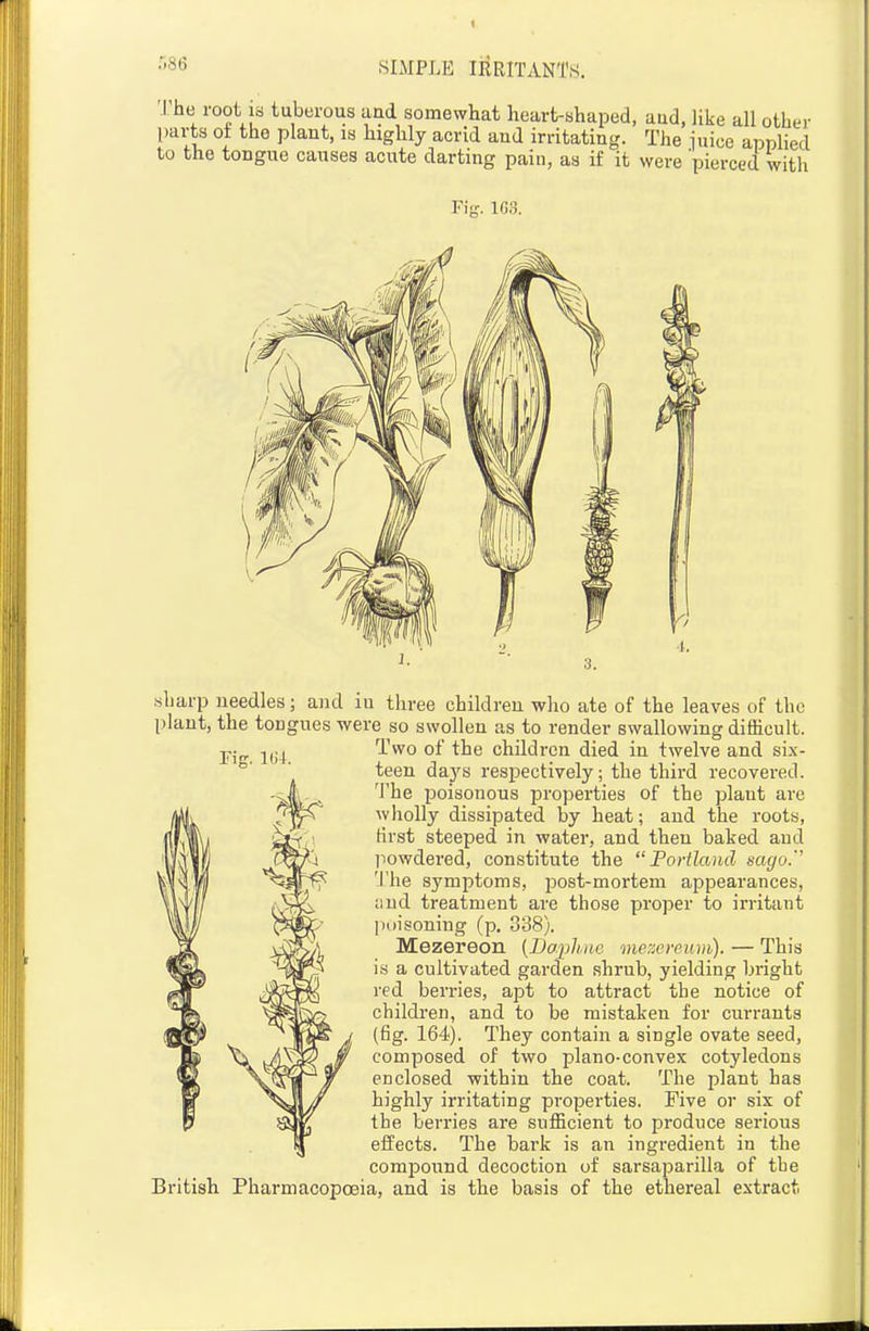 Tis. 1U4. .sharp needles; and in three children who ate of the leaves of the plant, the tongues were so swollen as to render swallowing difficult. Two of the children died in twelve and six- teen days respectively; the third recovered, 'i'he poisonous properties of the plant are wholly dissipated by heat; and the roots, first steeped in water, and then baked and powdered, constitute the  Foiiland sago.'' The symiDtoms, post-mortem appearances, iind treatment are those proper to irritant poisoning (p. 338). Mezereon (Daphne me:xreiim). — This is a cultivated garden shrub, yielding bright red berries, apt to attract the notice of children, and to be mistaken for currants (fig. 164). They contain a single ovate seed, composed of two plano-convex cotyledons enclosed within the coat. The plant has highly irritating pi-operties. Five or six of the berries are sufficient to produce serious effects. The bark is an ingredient in the cora2DOund decoction of sarsaparilla of the British Pharmacopoeia, and is the basis of the ethereal extract