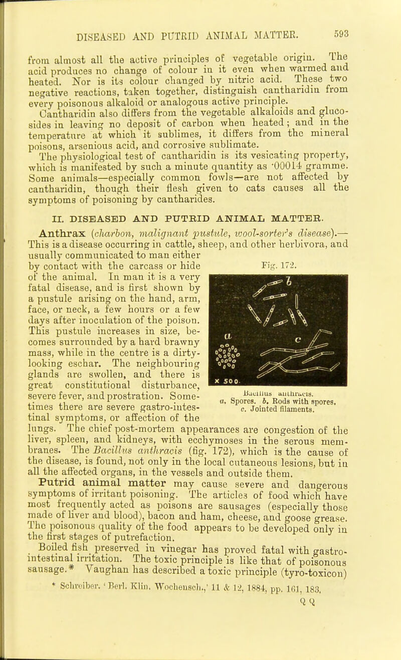 from almost all tlie active priaciples of vegetable origm. Ihe acid produces no change of colour in it even when warmed and heated. Nor is its colour changed by nitric acid. These two negative reactions, taken together, distinguish cantharidin from every poisonous alkaloid or analogous active principle. Cantharidin also differs from the vegetable alkaloids and gluco- sides in leaving no deposit of carbon when heated; and in the temperature at which it sublimes, it differs from the mineral poisons, arsenious acid, and corrosive sublimate. The physiological test of cantharidin is its vesicating property, which is manifested by such a minute quantity as •00014 gramme. Some animals—especially common fowls—are not affected by cantharidin, though their flesh given to cats causes all the symptoms of poisoning by cantharides. II. DISEASED AND PUTEID ANIMAL MATTER. Anthrax [cliarhon, malignant piistule, ivool-sorter's disease).— This is a disease occurring in cattle, sheep, and other herbivora, and usually communicated to man either by contact with the carcass or hide of the animal. In man it is a very fatal disease, and is first shown by a pustule arising on the hand, arm, face, or neck, a few hours or a few days after inoculation of the poison. This pustule increases in size, be- comes surrounded by a hard brawny mass, while in the centre is a dirty- looking eschar. The neighbouring glands are swollen, and there is great constitutional disturbance, severe fever, a.nd prostration. Some- times there are severe gastro-intes- tinal symptoms, or affection of the lungs. The chief post-mortem appearances are congestion of the liver, spleen, and kidneys, with ecchymoses in the serous mem- branes. The Bacillus anthracis (fig. 172), which is the cause of the disease, is found, not only in the local cutaneous lesions, but in all the affected organs, in the vessels and outside them. Putrid animal matter may cause severe and dangerous symptoms of irritant poisoning. The articles of food which have most frequently acted as poisons are sausages (especially those made of'liver and blood), bacon and ham, cheese, and goose grease. The poisonous quality of the food appears to be developed only in the first stages of putrefaction. Boiled fish preserved in vinegar has proved fatal with gastro- intestinal irritation. The toxic principle is like that of poisonous sausage.* Vaughan has described a toxic principle (tyro-toxicon) * Sclirciber. ' Berl. Klin. Wocheuscli.,' 11 & !■>, 188i, pp. ICl, 18.3, Fis,'. 17-2. liacUlus aiiilirui'18. a. Spores, b. Rods with spores, c. Jointed filaments.