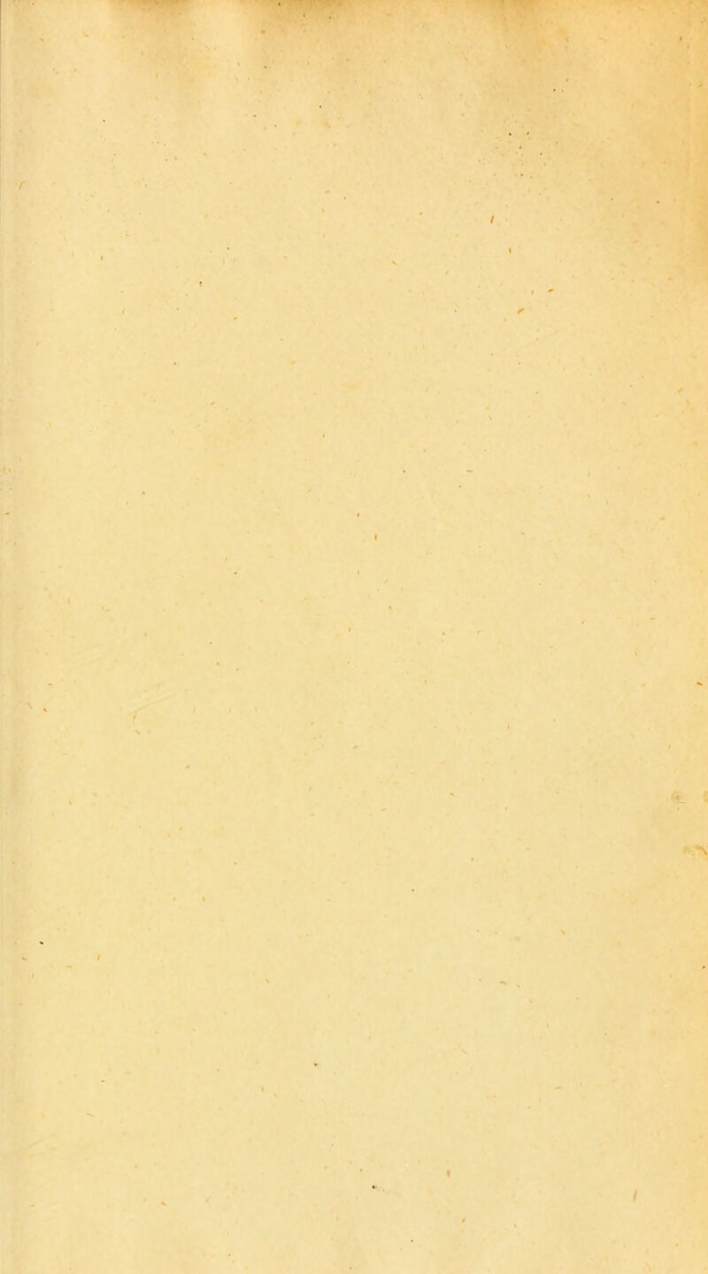 . • • / «L 5 •N I I