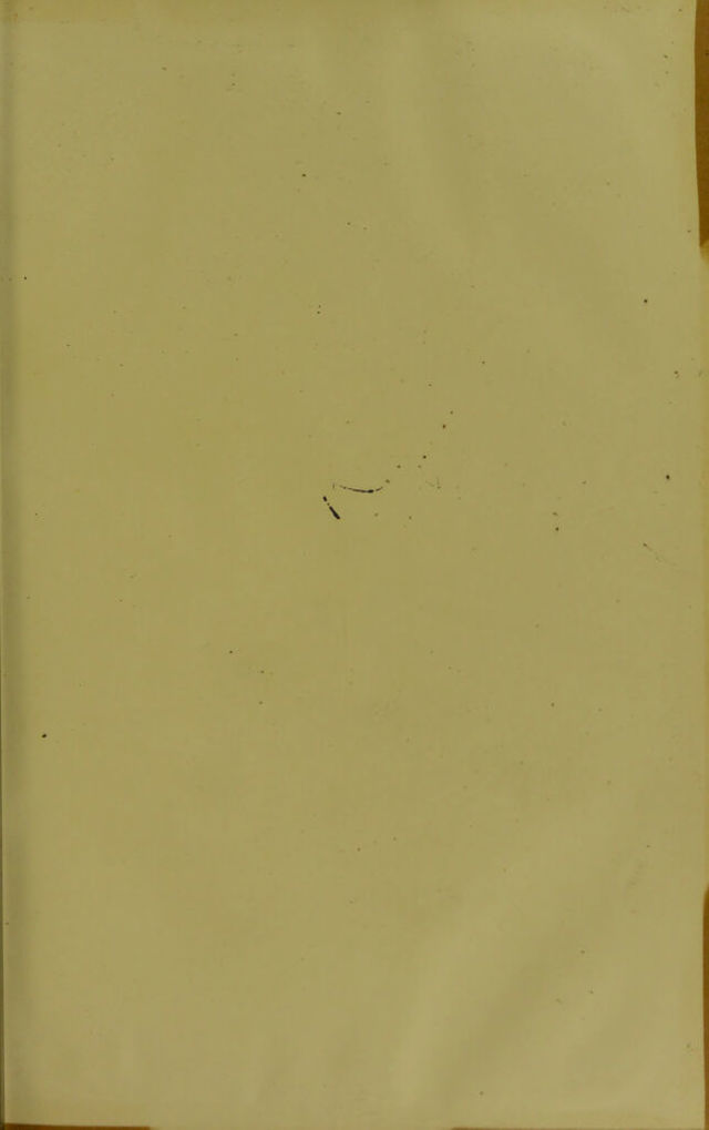 digitised image 3
