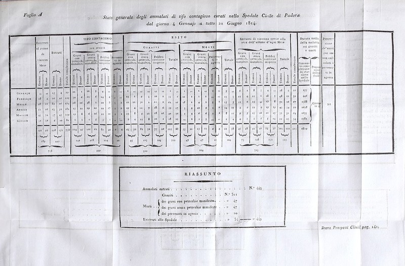 dal giorno 4 Gennajo a. tutto Giugno 18 x 4- Esistenti al pr di Entrati ciascun % Mese ì r1 S -I | e 1 e 1 S ó 0 3 Q t- Gennajo „ „ 4 J9 Febbhajo 18 4 7« iC xi.> Marzo 48 89 16 «74 Aprile y« 16 5° 181 Maccio 43 34 37 4J « 59 Giugno - 3* « .0 80 ijì 97 298 «T« 73» f-1 V_ 189 449 758 TIFO CONTAGIOSO!}' Gravi senza petecch. manifest. 104 4 s '-V-' Febbri ontinue pervenir agonia S-' Gravi senza petecch. manifest. r'S 6s 30 Febbri continue Totale sospette . r'S r-S 81 3» Sr-» 77 *g Sr-» r“S Gravi senza petecch. manilest. Perv nu ti a ago uà rS Totale Restanti di ciascuna specie alla sera dell’ultimo d'ogni Mese 38 W-' v'-v-' Gravi senza petecch. lanifest. Febbri continue sospette r'-v '■v' '-V-' Totale Sr-1 Durata medi: Propor- della malattia, zione sui guariti de’morti e motti par 100 non cai- Giorna- colati i plessive Propoli pervenu- di sta- inaivi zione nello Spedale duali agonia WJ 44* «388 Glori 11*28 itfjj 158* «8:9 ! RIASSUNTO Ammalati entrati Guariti . dei gravi con petecchie manifeste» C dei j ‘ - 1 < dei c * dei pervenuti in : Esistenti allo Spedale . . N.° 449 47 47 54 —— * 449 'Brere. Prospetti Clinici, pag.
