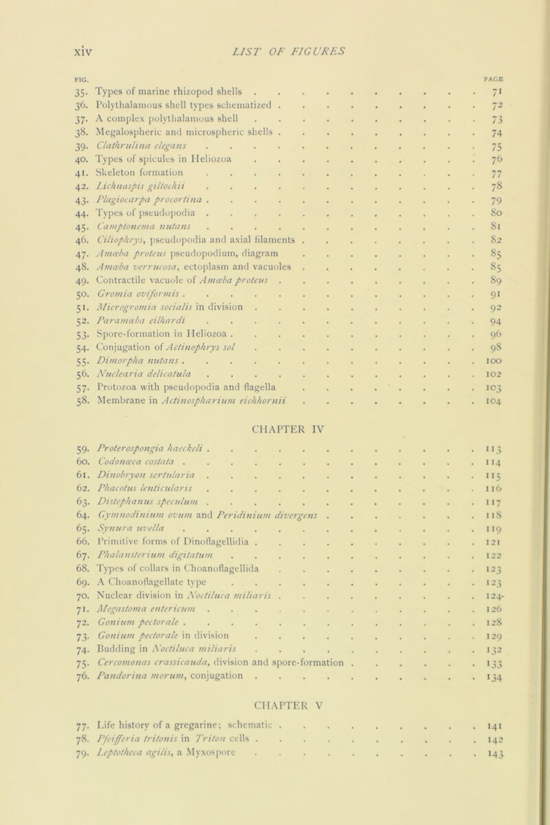 FIG. 35- 36. 37- 3«- 39- 40. 41. 42. 43- 44. 45- 46. 47- 48. 49. 50- 51- 52. 53- 54- 55- 56. 57- 58. 59- 60. 61. 62. 63- 64. 65- 66. 67. 68. 69. 70. 7'- 72- 73- 74- 75- 76. Types of marine rhizopod shells Polylhalanious shell types schematized . A complex polythalamous shell Megalospheric and microspheric shells . Claihriilina elegans .... Types of spicules in Ileliozoa Skeleton formation .... Lichnaspis giliothii .... Flagiocarpa procorlina .... 'I'ypes of psemloijodia .... Camplonema nutans .... Ciliophrys, jiseudopodia and axial filaments Ania'ba protetis pseudopodium, diagram AmaPa verrucosa^ ectoplasm and vacuoles Contractile vacuole of Amaba proteus . Gromia oviform is ..... Microgromia socialis in division Paramaba eilhardi .... Spore-formation in Ileliozoa . Conjugation of Actinophrys sol Dimorpha nutans ..... Nuclearia delicatula .... Protozoa with pseudopodia and flagella Membrane in Actinosphccrium eichhoniii CHAPTER IV Proterospongia haeckeli Codonoeca costata . Dinobryon scrtularia Phacotiis Icnticularis Distephanus speculum Gymnodinium ovum and Peridinium Synura uvella .... Primitive forms of Dinoflagellidia . Phalansterium digitatum Types of collars in Choanoflagellida A Choanoflagellate type Nuclear division in Noctiluca miliar is Alegastoma entcricum diverg ens Gonium pcctorale ....... Gonitim pcctorale in division .... Pudding in Noctiluca mi liar is .... Cercomonas crassicauda, division and spore-formation Pandorina morum, conjugation .... PAGE 71 72 73 74 75 76 77 78 79 So 81 82 85 85 89 91 92 94 96 98 100 102 103 104 113 114 115 116 117 118 119 121 122 123 >23 124- 126 128 129 132 •33 134 CHAPTER V 77. Life history of a gregarine; schematic . 78. Pfeifferia tritonis in Triton cells . 79. Leptotheca agilis, a Myxospore . 141 . 142 . 143