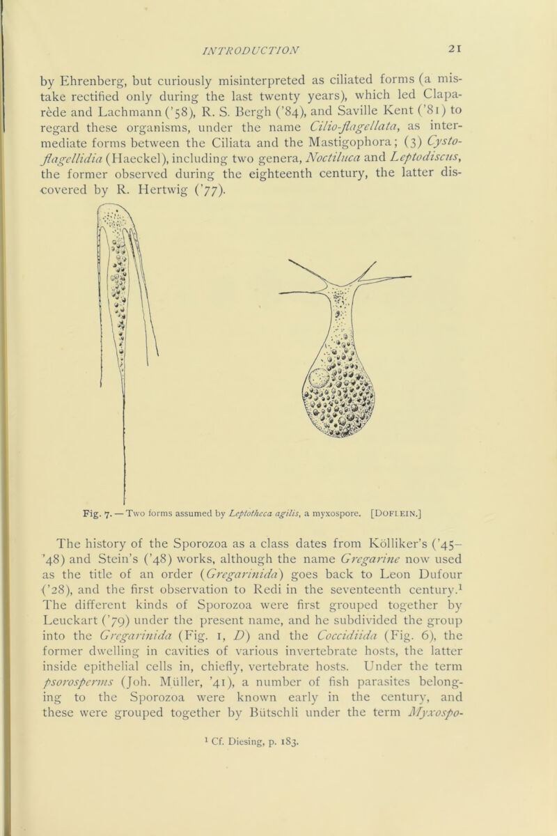 by Ehrenberg, but curiously misinterpreted as ciliated forms (a mis- take rectified only during the last twenty years), which led Clapa- rede and Lachmann (’58), R. S. Bergh (’84), and Saville Kent (’81) to regard these organisms, under the name Cilio-Jlagellata, as inter- mediate forms between the Ciliata and the Mastigophora; (3) Cysto- flagcllidia (Haeckel), including two genera, Noctiluca and Leptodiscus, the former observed during the eighteenth century, the latter dis- covered by R. Hertwig (’77). Fig. 7. — Two forms assumed by Leptothcca agilis, a myxospore. [Doflein.] The history of the Sporozoa as a class dates from Kolliker’s (’45- ’48) and Stein’s (’48) works, although the name Grcgarinc now used as the title of an order (Gregar/nida) goes back to Leon Dufour (’28), and the first observation to Redi in the seventeenth century.^ The different kinds of Sporozoa were first grouped together by Leuckart (’79) under the present name, and he subdivided the group into the Grcgarinida (Fig. i, D) and the Coccidiida (Fig. 6), the former dwelling in cavities of various invertebrate hosts, the latter inside epithelial cells in, chiefly, vertebrate hosts. Under the term psorospcrms (Joh. Muller, ’41), a number of fish parasites belong- ing to the Sporozoa were known early in the century, and these were grouped together by Biitschli under the term Myxospo- 1 Cf. Diesing, p. 1S3.