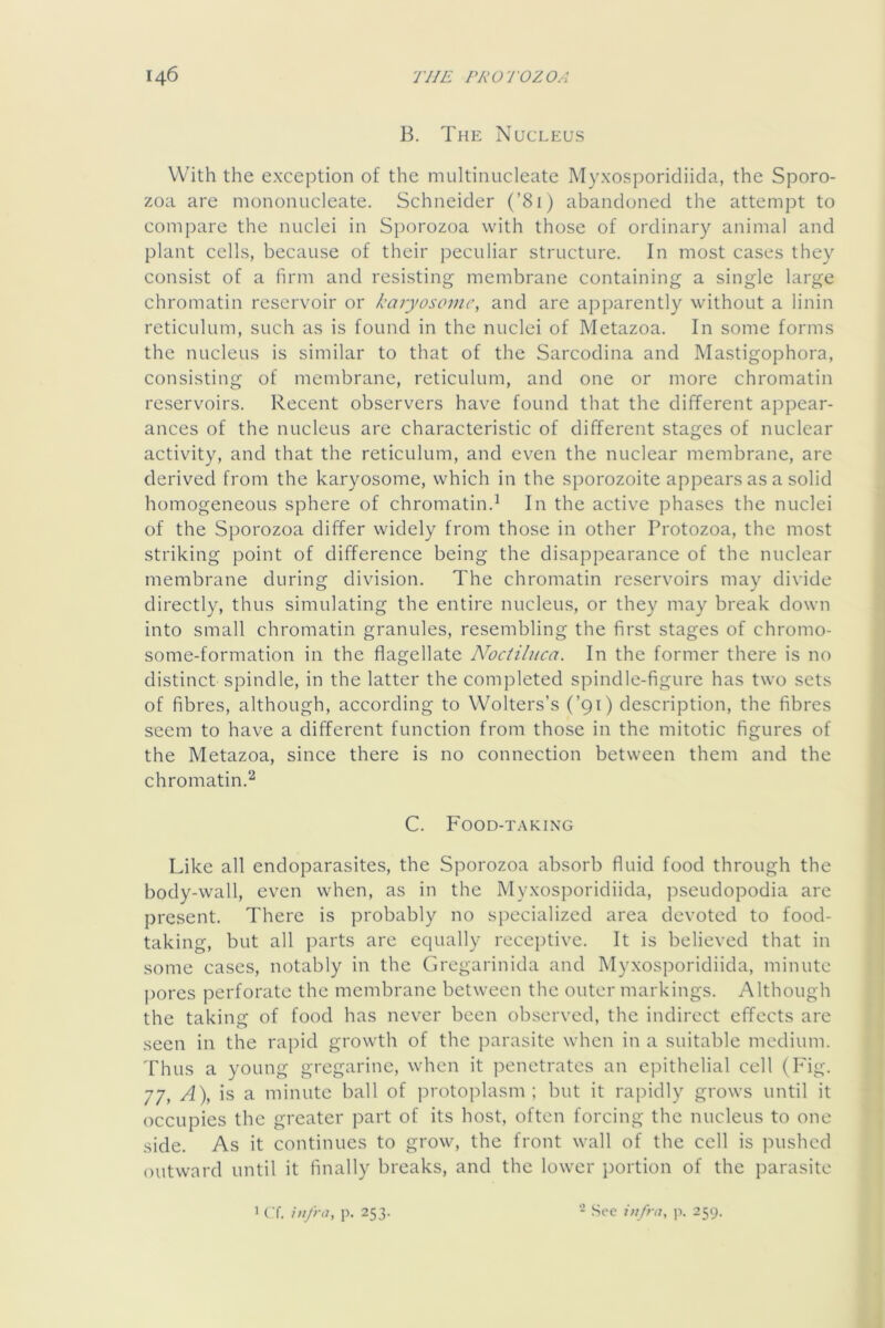 B. The Nucleus With the exception of the multiniicleate Myxosporidiida, the Sporo- zoa are mononucleate. Schneider (’81) abandoned the attempt to compare the nuclei in Si)orozoa with those of ordinary animal and plant cells, because of their peculiar structure. In most cases they consist of a firm and resisting membrane containing a single large chromatin reservoir or karyosome, and are apparently without a linin reticulum, such as is found in the nuclei of Metazoa. In some forms the nucleus is similar to that of the Sarcodina and Mastigophora, consisting of membrane, reticulum, and one or more chromatin reservoirs. Recent observers have found that the different appear- ances of the nucleus are characteristic of different stages of nuclear activity, and that the reticulum, and even the nuclear membrane, are derived from the karyosome, which in the sporozoite appears as a solid homogeneous sphere of chromatin.^ In the active phases the nuclei of the Sporozoa differ widely from those in other Protozoa, the most striking point of difference being the disappearance of the nuclear membrane during division. The chromatin reservoirs may divide directly, thus simulating the entire nucleus, or they may break down into small chromatin granules, resembling the first stages of chromo- some-formation in the flagellate Noctilnca. In the former there is no distinct spindle, in the latter the completed spindle-figure has two sets of fibres, although, according to Wolters’s (’91) description, the fibres seem to have a different function from those in the mitotic figures of the Metazoa, since there is no connection between them and the chromatin.^ C. Food-taking Like all endoparasites, the Sporozoa absorb fluid food through the body-wall, even when, as in the Myxosporidiida, pseudopodia are pre.sent. There is probably no specialized area devoted to food- taking, but all parts arc equally receptive. It is believed that in some cases, notably in the Grcgarinida and Myxosporidiida, minute |)orcs perforate the membrane between the outer markings. Although the taking of food has never been observed, the indirect effects are seen in the rapid growth of the parasite when in a suitable medium. Thus a young gregarine, when it penetrates an epithelial cell (P^ig. 77, A\ is a minute ball of protoplasm ; but it rapidly grows until it occupies the greater part of its host, often forcing the nucleus to one side. As it continues to grow, the front wall of the cell is pushed outward until it finally breaks, and the lower portion of the parasite 1 Cf. infra, p. 253. .See infra, ]i. 259.
