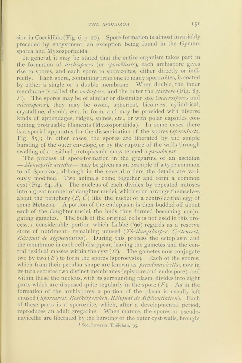 sion in Coccidiida (Fig. 6, p. 20). Spore-formation is almost invariably preceded by encystment, an exception being found in the (jymno- sporea and Myxosporidiida. In general, it may be stated that the entire organism takes j)art in the formation of archisporcs (or sporoblasts), each archispore giv^es rise to spores, and each spore to sporozoites, either directly or indi- rectly. Each spore, containing from one to many sporozoites, is coated by either a single or a double membrane. When double, the inner membrane is called the aidosporc, and the outer the cpispore (Fig. 83, F). The spores may be of similar or dissimilar size {macrospons and micro spores), they may be ovoid, spherical, biconvex, cylindrical, crystalline, discoid, etc., in form, and may be provided with diverse kinds of appendages, ridges, spines, etc., or with polar capsules con- taining protrusible filaments (Myxosporidiida). In some cases there is a special apparatus for the dissemination of the spores {sporodnets, Fig. 85); in other cases, the spores are liberated by the simple bursting of the outer envelope, or by the rupture of the walls through swelling of a residual protoplasmic mass termed apscudocyst. The process of spore-formation in the gregarine of an ascidian — Monocystis ascidice — may be given as an example of a type common to all Sporozoa, although in the several orders the details are vari- ously modified. Two animals come together and form a common cyst (Fig. 84, A). The nucleus of each divides by repeated mitoses into a great number of daughter-nuclei, which soon arrange themselves about the periphery (B, C) like the nuclei of a centrolecithal egg of some Metazoa. A portion of the endoplasm is then budded off about each of the daughter-nuclei, the buds thus formed becoming conju- gating gametes. The bulk of the original cells is not used in this pro- cess, a considerable portion which Labbe (’96) regards as a reserve store of nutriment^ remaining unused {prhcilinigskorpcr, Cystenrest, RFijnat de segmentation). During this process the ectoplasm and the membrane in each cell disappear, leaving the gametes and the cen- tral residual masses within the cyst(Z^). The gametes now conjugate two by two (A) to form the spores (sporocysts). Each of the spores, which from their peculiar shape are known as psendonavicclkc, now in its turn secretes two distinct membranes (epispore and endospore), and within these the nucleus, with its surrounding plasm, divides into eight parts which arc disposed quite regularly in the spore (A). As in the formation of the archisjDores, a portion of the plasm is usuallv left unused {^Sporenrest, Rcstkorperchcn, Rcliqnat de differentiation), bkich of these parts is a sporozoite, which, after a developmental period, reproduces an adult gregarine. WTcn mature, the spores or pseudo- navicellae are liberated by the bursting of the outer cyst-walls, brought ^ See, however, Thelolian, ’95.