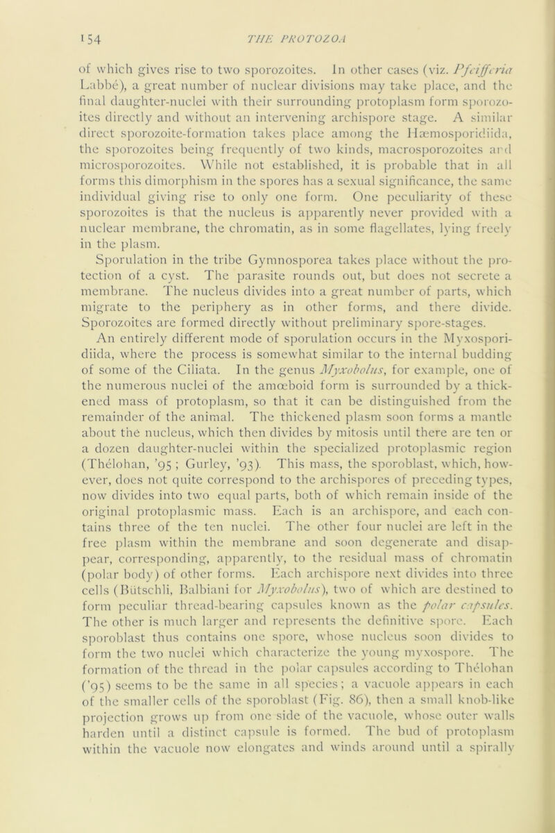 of which gives rise to two sporozoites. In other cases (viz. Ifiiffcria Lal)be), a great number of nuclear divisions may take place, and the hnal daughter-nuclei with their surrounding protoplasm form sporozo- ites directly and without an intervening archispore stage. A similar direct sporozoite-formation takes place among the Haemosj^oridiida, the s})orozoites being frequently of two kinds, macrosporozoites ard microsporozoites. While not established, it is probable that in all forms this dimorphism in the spores has a se.xual significance, the same individual gi\'ing rise to only one form. One peculiarity of these sporozoites is that the nucleus is aj^parently never provided with a nuclear membrane, the chromatin, as in some flagellates, lying freely in the plasm. Sporulation in the tribe Gymnosporea takes jflace without the pro- tection of a cyst. The parasite rounds out, but does not secrete a membrane. The nucleus divides into a great number of jjarts, which migrate to the periphery as in other forms, and there divide. Sporozoites are formed directly without preliminary sj:>ore-stages. An entirely different mode of sporulation occurs in the My.xospori- diida, where the process is somewhat similar to the internal budding of some of the Ciliata. In the genus Myxoboliis, for example, one of the numerous nuclei of the amceboid form is surrounded by a thick- ened mass of protoplasm, so that it can be distinguished from the remainder of the animal. The thickened plasm soon forms a mantle about the nucleus, which then divides by mitosis until there are ten or a dozen daughter-nuclei within the specialized j^rotoplasmic region (Thelohan, ’95 ; Gurley, ’93). This mass, the sporoblast, which, how- ever, does not quite correspond to the archispores of preceding types, now divides into two equal parts, both of which remain inside of the original protoplasmic mass. Each is an archispore, and each con- tains three of the ten nuclei. The other four nuclei are left in the free jflasm within the membrane and soon degenerate and disap- pear, corresi^onding, apparently, to the residual mass of chromatin (polar body) of other forms. Each archispore next divides into three cells (Hutschli, Balbiani for MyxoboIus\ two of which are destined to form peculiar thread-bearing capsules known as the polar capsules. The other is much larger and represents the definitive spore. Each sporoblast thus contains one spore, whose nucleus soon divides to form the two nuclei which characterize the young myxospore. The formation of the thread in the iiolar capsules according to Thelohan (’95) seems to be the same in all s]Vecies; a vacuole ajipears in each of the smaller cells of the sporoblast (Eig. 86), then a small knob-like projection grows up from one side of the vacuole, whose outer walls harden until a distinct capsule is formed. The bud of protoplasm within the vacuole now elongates and winds around until a spirally