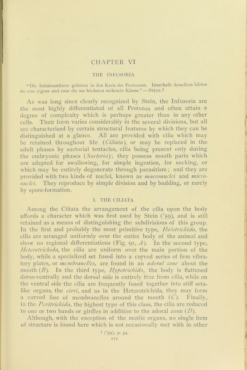 THE INFUSORIA “ Die Infusionsthiere gehoren in den Kreis der Protozoen. Innerhalb dessdben bilden sie eine eigene und zwar die am hochsten stehende Klasse.” — Si'EiNd As was long since clearly recognized by Stein, the Infusoria are the most highly differentiated of all Protozoa and often attain a degree of complexity which is perhaps greater than in any other cells. Their form varies considerably in the several divisions, but all are characterized by certain structural features by which they can be distinguished at a glance. All are provided with cilia which may be retained throughout life {Ciliata), or may be replaced in the adult phases by suctorial tentacles, cilia being present only during the embryonic phases {Suctoi'ia)-, they possess mouth parts which are adapted for swallowing, for simple ingestion, for sucking, or which may be entirely degenerate through parasitism ; and they are provided with two kinds of nuclei, known as macromiclei and imcro- niiclci. They reproduce by simple division and by budding, or rarely by spore-formation. I. THE CILIATA Among the Ciliata the arrangement of the cilia upon the body affords a character which was first used by Stein (’59), and is still retained as a means of distinguishing the subdivisions of this group. In the first and probably the most primitive type, HolotricJiida, the cilia are arranged uniformly over the entire body of the animal and show no regional differentiations (Fig. 91, A). In the second type, Hctcrotrichida, the cilia are uniform over the main portion of the body, while a specialized set fused into a curved series of firm vibra- tory plates, or mcmbranclles, are found in an adoral zone about the mouth {R). In the third type, HypotricJiida, the body is flattened dorso-ventrally and the dorsal side is entirely free from cilia, while on the ventral side the cilia are frequently fused together into stiff seta- like organs, the cirri, and as in the Heterotrichida, they may form a curved line of membranelles around the mouth {C). Finally, in the Peritrichida, the highest type of this class, the cilia are reduced to one or two bands or girdles in addition to the adoral zone {D). Although, with the exception of the motile organs, no single item of structure is found here which is not occasionally met with in other ^ (’59). p- 54- lyt