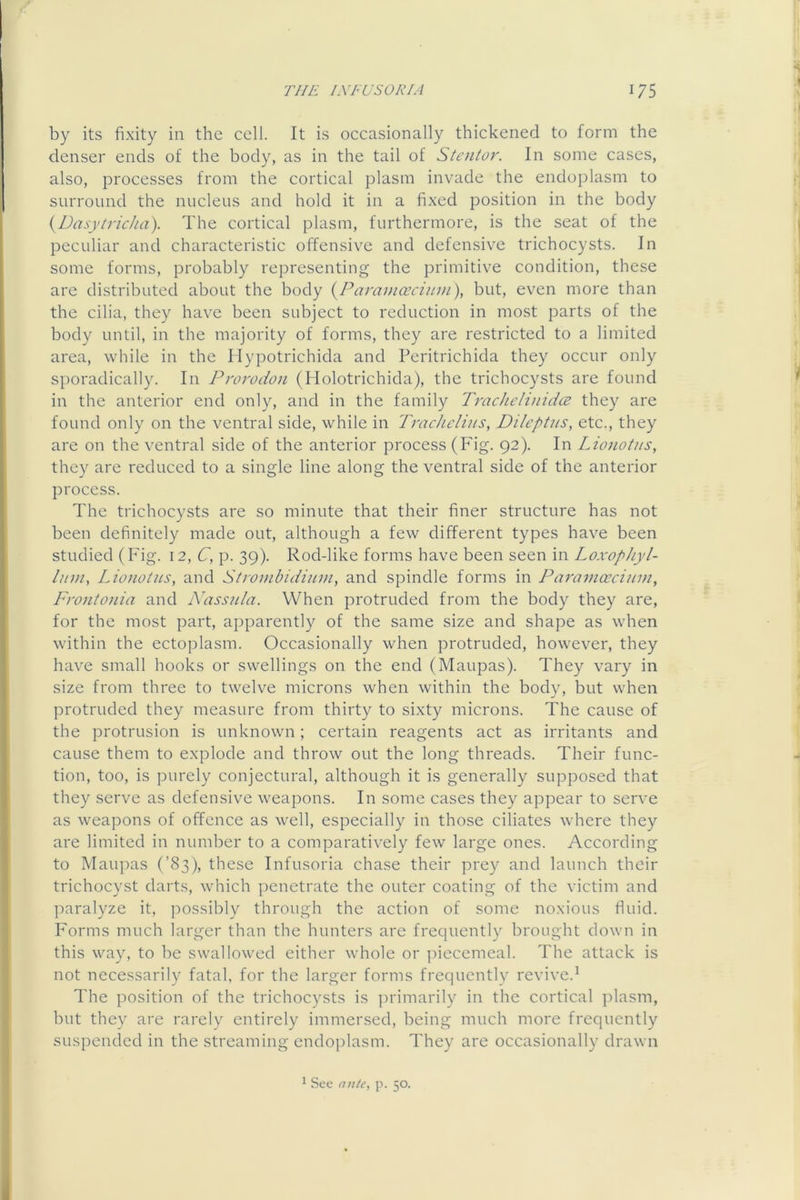 by its fixity in the cell. It is occasionally thickened to form the denser ends of the body, as in the tail of Staitor. In some cases, also, processes from the cortical plasm invade the endoplasm to surround the nucleus and hold it in a fixed position in the body {Dasjtricha). The cortical plasm, furthermore, is the seat of the peculiar and characteristic offensive and defensive trichocysts. In some forms, probably representing the primitive condition, these are distributed about the body {^Paramcccinm), but, even more than the cilia, they have been subject to reduction in most parts of the body until, in the majority of forms, they are restricted to a limited area, while in the Ilypotrichida and Peritrichida they occur only sporadically. In Prorodou (Holotrichida), the trichocysts are found in the anterior end only, and in the family Trachelinid(2 they are found only on the ventral side, while in Trachclins, Dileptiis, etc., they are on the ventral side of the anterior process (Fig. 92). In Lionotus, they are reduced to a single line along the ventral side of the anterior process. The trichocysts are so minute that their finer structure has not been definitely made out, although a few different types have been studied (Fig. 12, C, p. 39). Rod-like forms have been seen in Loxophyl- lum, Lionotits, and Strombidium, and spindle forms in Paramcccium, Frontonia and Nassula. When protruded from the body they are, for the most part, apparently of the same size and shape as when within the ectoplasm. Occasionally when protruded, however, they have small hooks or swellings on the end (Maupas). They vary in size from three to twelve microns when within the body, but when protruded they measure from thirty to sixty microns. The cause of the protrusion is unknown; certain reagents act as irritants and cause them to explode and throw out the long threads. Their func- tion, too, is purely conjectural, although it is generally supposed that they serve as defensive weapons. In some cases they appear to serve as weapons of offence as well, especially in those ciliates where they are limited in number to a comparatively few large ones. According to Maupas (’83), these Infusoria chase their prey and launch their trichocyst darts, which penetrate the outer coating of the victim and paralyze it, possibly through the action of some noxious fluid. Forms much larger than the hunters are frequently brought clown in this way, to be swallowed either whole or ])iecemeal. The attack is not necessarily fatal, for the larger forms frequently revive.^ The position of the trichocysts is primarily in the cortical plasm, but they are rarely entirely immersed, being much more frequently suspended in the streaming endoplasm. They are occasionally drawn ^ See ante, p. 50.