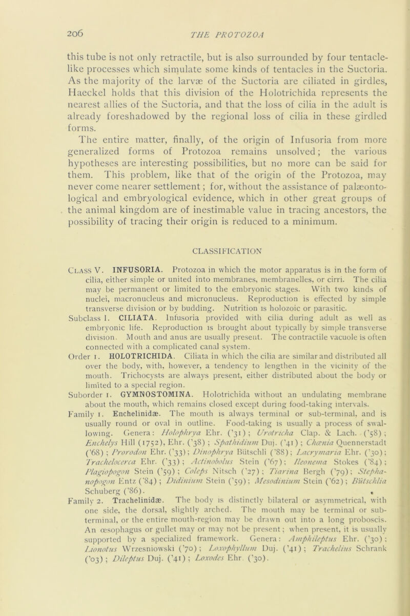 this tube is not only retractile, but is also surrounded by four tentacle- like processes which simulate some kinds of tentacles in the Suctoria. As the majority of the larvae of the Suctoria are ciliated in girdles, Haeckel holds that this division of the Holotrichida represents the nearest allies of the Suctoria, and that the loss of cilia in the adult is already foreshadowed by the regional loss of cilia in these girdled forms. The entire matter, finally, of the origin of Infusoria from more generalized forms of Protozoa remains unsolved; the various hypotheses are interesting possibilities, but no more can be said for them. This problem, like that of the origin of the Protozoa, may never come nearer settlement; for, without the assistance of palaeonto- logical and embryological evidence, which in other great groups of the animal kingdom are of inestimable value in tracing ancestors, the possibility of tracing their origin is reduced to a minimum. CLASSIKICATION Class V. INFUSORIA. Protozoa in which the motor apparatus is in the form of cilia, either simple or united into membranes, membranelles, or cirri. The cilia may be permanent or limited to the embryonic stages. With two kinds of nuclei, macronucleus and micronucleus. Reproduction is effected by simple transverse division or by budding. Nutrition is holozoic or parasitic. Subclass 1. CILIATA. Infusoria provided with cilia during adult as well as embryonic life. Reproduction is brought about typically by simple transverse division. Mouth and anus are usually present. The contractile vacuole is often connected with a complicated canal system. Order i. HOLOTRICHIDA. Ciliata in which the cilia are similar and distributed all over the body, with, however, a tendency to lengthen in the vicinity of the mouth. Trichocysts are always present, either distributed about the body or limited to a special region. Suborder i. GYMNOSTOMINA. Holotrichida without an undulating membrane about the mouth, which remains closed e.xcept during food-taking intervals. Family i. Enchelinidae. The mouth is always terminal or sub-terminal, and is usually round or oval in outline. Food-taking is usually a process of swal- lowing. (lenera: Holophrya Ehr. (’31); Uroiricha Clap. & Each. (’58); Enchelys Hill (1752), Ehr. (’38) ; Spaihidimn Duj. ('41) Chcrnia Quennerstadt (’68) : Prorodon Ivhr. (’33); Dhiop/irya Hiitschli ('88); Lcicrymai'ia Ehr. (’30): Irachclocerca Ehr. (’33); .Icthudnilns Stein ('67); /Iconona Stokes ('84); J’lagiopof^on Stein (’59); Coleps Nitsch (’27); Tiarina Hergh (’79); StepJia- nopagon Entz (‘84) ; Didiniuin Stein (’59); Mesodinium Stein (’62); Biitschlia Schuberg (’86). , Family 2. Trachelinidas. The body is distinctly bilateral or asymmetrical, with one side, the dorsal, slightly arched. The mouth may be terminal or .sub- terminal. or the entire mouth-region may be drawn out into a long proboscis. An (Ksophagus or gullet may or may not be present; when present, it is usually supported by a specialized framework. Genera: Ainphileptus Ehr. (’30): Lionotus Wrzesniowski (’70); Loxophylliiin Duj. (’41); Trachelius Schrank (’03); D He plus Duj. (’41); Lflxodcs Ehr (’30).