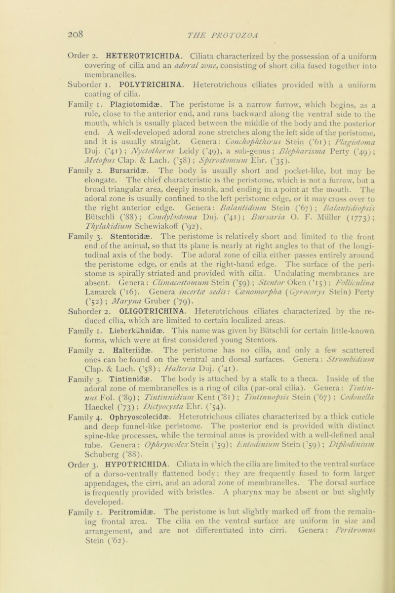 Order 2. HETEROTRICHIDA. Ciliata characterized by the possession of a uniform covering of cilia and an adoral zone., consisting of short cilia fused together into niembranelles. Suborder i. POLYTRICHINA. Heterotrichous ciliates provided with a uniform coating of cilia. Family i. Plagiotomidae. The peristome is a narrow furrow, which begins, as a rule, close to the anterior end, and runs backward along the ventral side to the mouth, which is usually placed between the middle of tlie body and the posterior end. A well-developed adoral zone stretches along the left side of the peristome, and it is usually straight. Genera: Conchophthirns Stein (‘61); Plogioioma Duj. (’41); NyctotJicrns Leidy (’49), a sub-genus; P>lepharisina Perty ('49); Metopns Clap. & Lach. (’58) ; Spirostonntm Ehr. ('35). Family 2. Bursaridae. The body is usually short and pocket-like, but may be elongate. The chief characteristic is the peristome, which is not a furrow, but a broad triangular area, deeply insunk, and ending in a point at the mouth. Tlie adoral zone is usually confined to the left peristome edge, or it may cross over to the right anterior edge. Genera: Palantidnun Stein (‘67); Pnihuitidiopsis Butschli ('88); Condylostoma Duj. (’41); Bnrsaria O. F. .Mliller (1773); 'Thylakidium Schewiakoff (’92). Family 3. Stentoridag. The peristome is relatively short and limited to the front end of the animal, so that its plane is nearly at right angles to that of the longi- tudinal axis of the body. The adoral zone of cilia either passes entirely around the peristome edge, or ends at the right-hand edge. The surface of the peri- stome IS spirally striated and provided with cilia. Undulating membranes are absent. Genera: Climacostomum\ Oken { b 5 ) ; P'fllliadimi Lamarck (’16). Genera incertce sedis: Ccenomorplia {Gyroco?ys Stein) Perty (’52) ; Maryna Gruber ('79). Suborder 2. OLIGOTRICHINA. Heterotrichous ciliates characterized by the re- duced cilia, which are limited to certain localized areas. P'amily i. Lieberkiihnidae. This name was given by Biitschli for certain little-known forms, which were at first considered young Stentors. Family 2. Halteriidce. The peristome has no cilia, and only a few scattered ones can be found on the ventral and dorsal surfaces. Genera: Strombidiiun Clap. & Lach. (’58); Haltcria Duj. (’41). Family 3. Tintinnidae. The body is attached by a stalk to a theca. Inside of the adoral zone of niembranelles is a ring of cilia (par-oral cilia). Genera: Tnitin- nits Fob ('89); Tintiiinidiuin Kent ('81) ; Tiidinnopsis Stein ('67) ; CodoncUa Haeckel (’73) ; Dictyocysta Ehr. ('54). P’amily 4. Ophryoscolecidae. Heterotrichous ciliates characterized by a thick cuticle and deep funnel-like peristome. The posterior end is provided with distinct spine-hke processes, while the terminal anus is provided with a well-defined anal tulie. (ienera : Stein ('59); h.ntodiniinnDiplodiniiun Schuberg ('88). Order 3. HYPOTRICHIDA. Ciliata in which the cilia are limited to the ventral surface of a dorso-ventrally flattened body: tliey are frequently fused to form larger appendages, the cirri, and an adoral zone of niembranelles. The dorsal surface is frequently provided with bristles. A pliarynx may be ab.sent or but slightly developed. Family i. Peritromidas. The peristome is but slight!v marked off from the remain- insr frontal area. The cilia on the ventral surface are uniform in size and arraiiirement, and are not differentiated into cirri. Genera: Peritromus. Stein ('62).