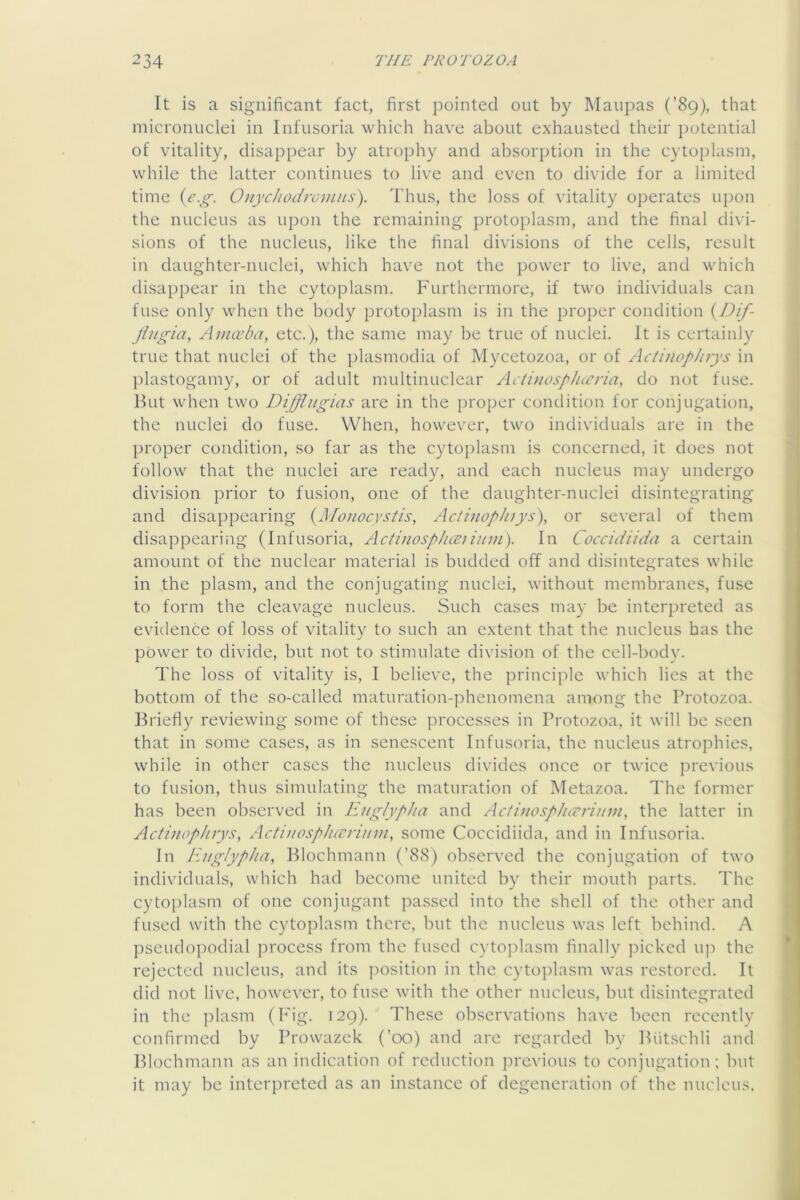 It is a significant fact, first pointed out by Maupas (’89), that micronuclei in Infusoria which have about exhausted their potential of vitality, disappear by atrophy and absorption in the cytoplasm, while the latter continues to live and even to divide for a limited time {e-g. Onychodronits). Thus, the loss of vitality operates upon the nucleus as upon the remaining protoplasm, and the final divi- sions of the nucleus, like the final divisions of the cells, result in daughter-nuclei, which have not the power to live, and which disappear in the cytoplasm. Furthermore, if two individuals can fuse only when the body protoplasm is in the proper condition ^Dif- Jlngia, Aincehm, etc.), the same may be true of nuclei. It is certainly true that nuclei of the plasmodia of Mycetozoa, or of Actinophrys in ])lastogamy, or of adult multinuclear AciinospJueria, do not fuse. But when two DiJJlugias are in the proper condition for conjugation, the nuclei do fuse. When, however, two individuals are in the proper condition, so far as the cytoplasm is concerned, it does not follow that the nuclei are ready, and each nucleus may undergo division prior to fusion, one of the daughter-nuclei disintegrating and disappearing (Monocysiis, Actinopluys'), or several of them disappearing (Infusoria, Actinosphieiinm). In Coccidiida a certain amount of the nuclear material is budded off and disintegrates while in the plasm, and the conjugating nuclei, without membranes, fuse to form the cleavage nucleus. Such cases may be interpreted as evidence of loss of vitality to such an extent that the nucleus has the power to divide, but not to stimulate division of the cell-body. The loss of vitality is, I believe, the principle which lies at the bottom of the so-called maturation-phenomena among the Protozoa. Briefly reviewing some of these ]n'ocesses in Protozoa, it will be seen that in some cases, as in senescent Infusoria, the nucleus atrophies, while in other cases the nucleus divides once or twice previous to fusion, thus simulating the maturation of Metazoa. The former has been observed in liitglypha and ActiiwspJuvrimn, the latter in AcAuop/irys, Actiiiosplucrium, some Coccidiida, and in Infusoria. In Euglypha, Blochmann (’88) observed the conjugation of two individuals, which had become united by their mouth parts. The cytoplasm of one conjugant passed into the shell of the other and fused with the cytoplasm there, but the nucleus was left behind. A pseudopodial process from the fused cytojflasm finally picked up the rejected nucleus, and its ]iosition in the cyto])lasm was restored. It did not live, however, to fuse with the other nucleus, but disintegrated in the ]:)lasm (P'ig. 129). These observations have been recently confirmed by Prowazek (’00) and are regarded by Biitschli and Blochmann as an indication of reduction previous to conjugation; but it may be interpreted as an instance of degeneration of the nucleu.-^.