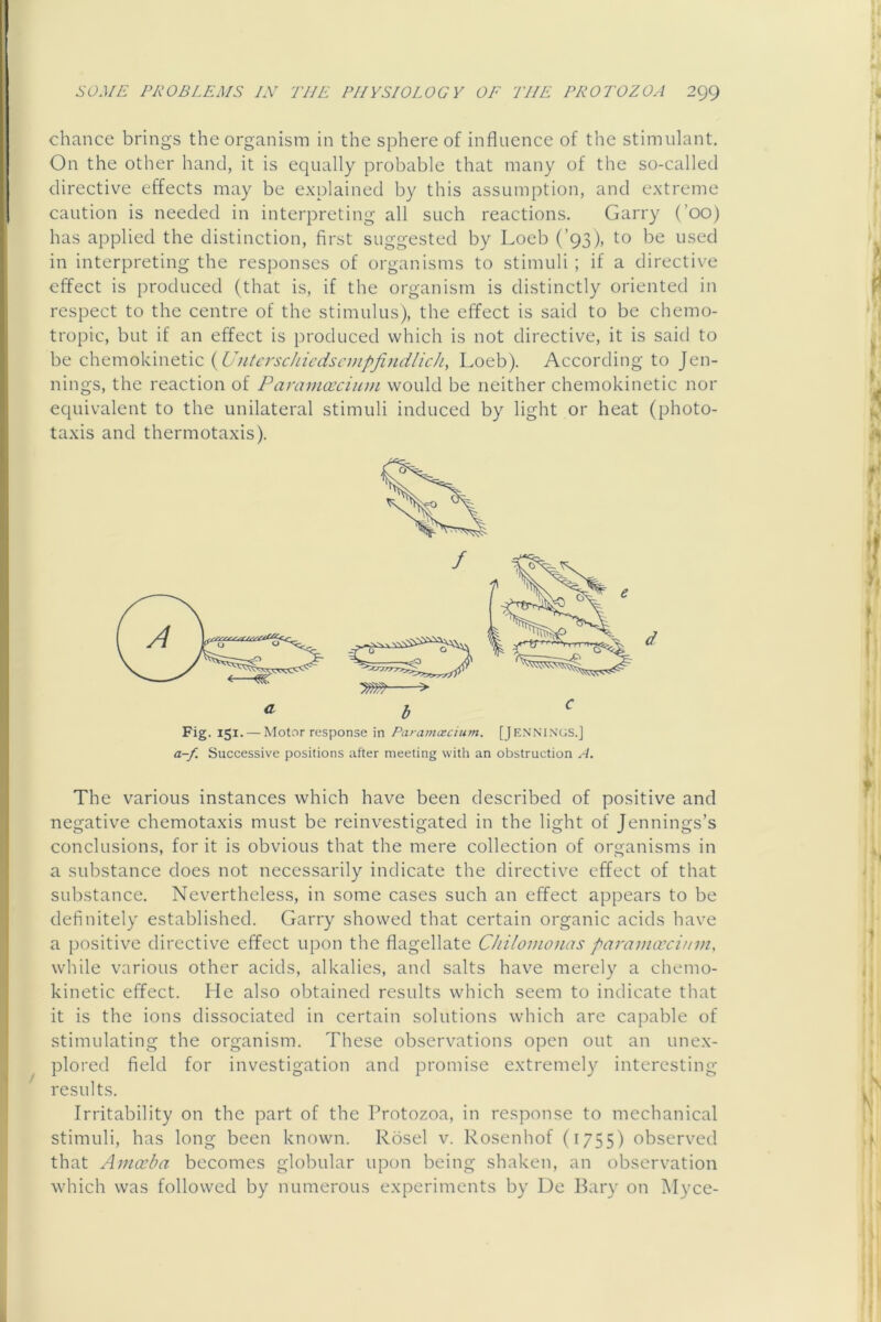 chance brings the organism in the sphere of influence of the stimulant. On the other hand, it is equally probable that many of the so-called directive effects may be explained by this assumption, and extreme caution is needed in interpreting all such reactions. Garry (’00) has applied the distinction, first suggested by Loeb (’93), to be used in interpreting the responses of organisms to stimuli ; if a directive effect is produced (that is, if the organism is distinctly oriented in respect to the centre of the stimulus), the effect is said to be chemo- tropic, but if an effect is produced which is not directive, it is said to be chemokinetic {U'litcrschicdsanpfindlicJi, Loeb). According to Jen- nings, the reaction of Paramoccium would be neither chemokinetic nor equivalent to the unilateral stimuli induced by light or heat (photo- taxis and thermotaxis). Fig. 151. — Motor response in Paramoecium. [JENNI.N’GS.J a-f. Successive positions after meeting with an obstruction A. The various instances which have been described of positive and negative chemotaxis must be reinvestigated in the light of Jennings’s conclusions, for it is obvious that the mere collection of organisms in a substance does not necessarily indicate the directive effect of that substance. Nevertheless, in some cases such an effect appears to be definitely established. Garry showed that certain organic acids have a positive directive effect upon the flagellate Chilomouas paranuvcinvi, while various other acids, alkalies, and salts have merely a chemo- kinetic effect. He also obtained results which seem to indicate that it is the ions dissociated in certain solutions which are capable of stimulating the organism. These observations open out an unex- plored field for investigation and promise extremely interesting results. Irritability on the part of the Protozoa, in response to mechanical stimuli, has long been known. Rosel v. Rosenhof (1755) observed that Amoeba becomes globular upon being shaken, an observation which was followed by numerous experiments by De Bary on Myce-