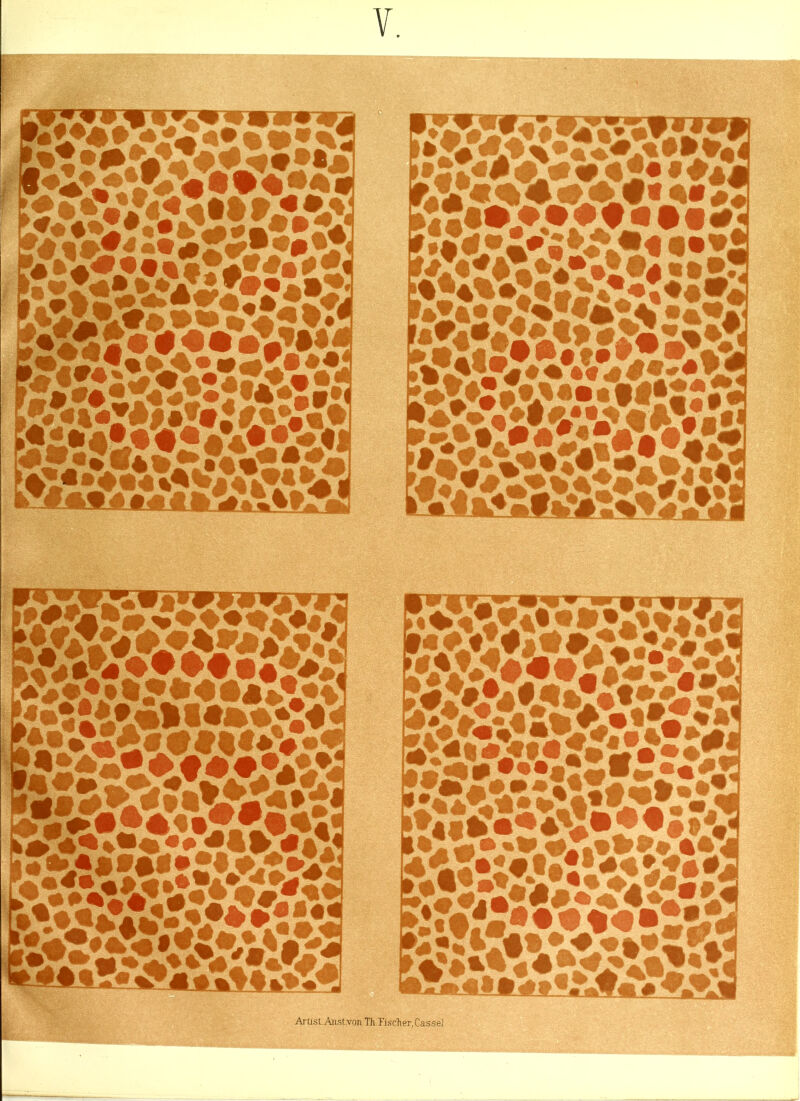 F V»«V/WAi »i^J*St SSiääSS?:£! %»< «»•VJW ,f#*.