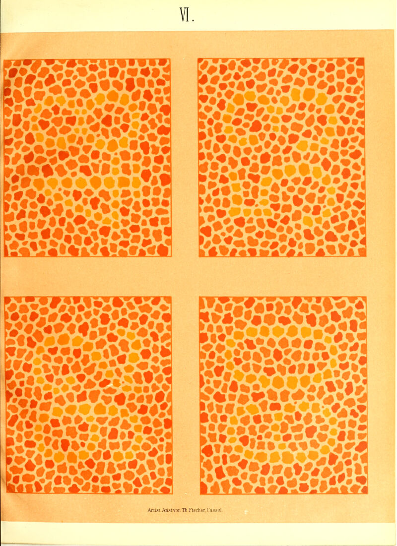 [WV.*iiiLV<r*vs;v m£&fJur,£i LaaVi&V#