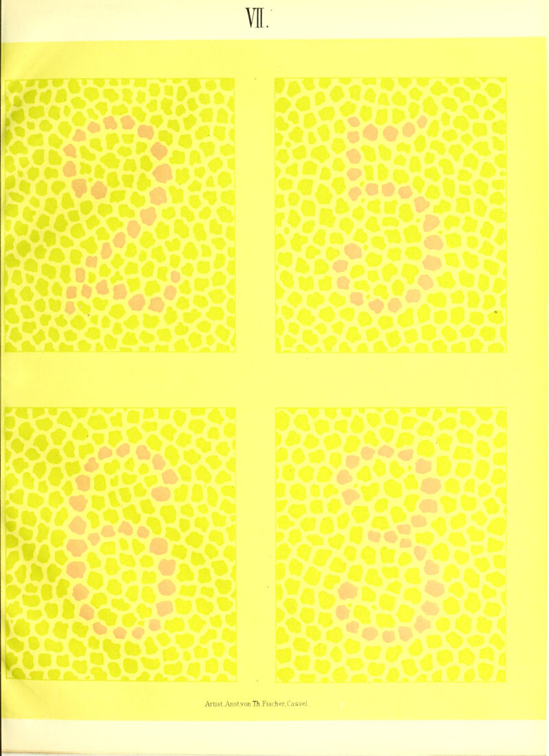 VE; lIS<m5S?5?S2^ &aS«Vl»*<^AV< A . ; eV*V4*>'