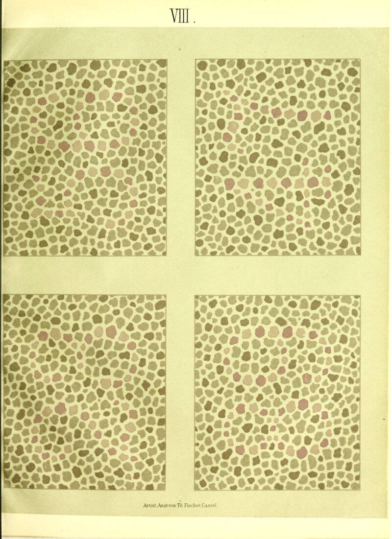 VE. ’^^fj*yviwVsSi