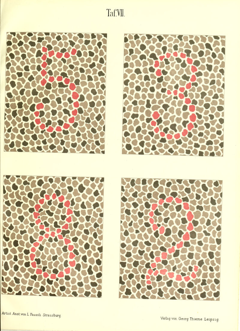 MM m&m wmt ssHa teni [»i”rfws{''< HtfM WStiSi-S::: MM »•:Ss*Si?S Arbst.Anst.vonL Fassoli Strassburg