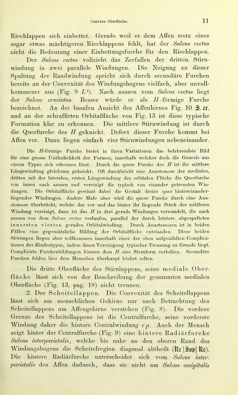 Riechlappen sich einbettet. Gerade weil er dem Affen trotz eines sogar etwas mächtigeren Riechlappens fehlt, hat der Sulcus rectus nicht die Bedeutung einer Einbettungsfurche für den Riechlappen. Der Sulcus rectus vollzieht das Zerfallen der dritten Stirn- windung in zwei parallele Windungen. Die Neigung zu dieser Spaltung der Randwindung spricht sich durch secundäre Furchen bereits an der Convexität des Windungsbogens vielfach, aber unvoll- kommener aus (Fig. 9 L3). Nach aussen vom Sulcus rectus liegt der Sulcus cruciatus. Besser würde er als H- förmige Furche bezeichnet. An der basalen Ansicht des Affenhirnes Fig. 10 ff. und an der scliraffirten Orbitalfläche von Fig. 13 ist diese typische Formation klar zu erkennen. Die mittlere Stirnwindung ist durch die Querfurche des H geknickt. Defect dieser Furche kommt bei Affen vor. Dann liegen einfach vier Stirnwindungen nebeneinander. Die H-förmige Furche bietet in ihren Variationen das belehrendste Bild für eine grosse Unähnlichkeit der Formen, innerhalb welcher doch die Genesis aus einem Typus sich erkennen lässt. Durch die quere Furche des H ist die mittlere Längswindung gleichsam geknickt. Oft durchbricht eine Anastomose der medialen, dritten mit der lateralen, ersten Längswindung der orbitalen Fläche die Querfurche von innen nach aussen und vereinigt die typisch von einander getrennten Win- dungen. Die Orbitalfläche gewinnt dabei die Gestalt dreier quer hintereinander- liegender Windungen. Andere Male aber wird die quere Furche durch eine Ana- stomose überbrückt, welche das vor und das hinter ihr liegende Stück der mittleren Windung vereinigt, dann ist das H in drei gerade Windungen verwandelt, die nach aussen von dem Sulcus rectus verlaufen, parallel der durch letztere abgespalteten innersten vierten geraden Orbitalwindung. Durch Anastomosen ist in beiden Fällen eine gegensätzliche Bildung der Orbitalfläche entstanden. Diese beiden Störungen liegen aber vollkommen innerhalb einer der oben aufgezählten Coraplica- tionen des Rindentypus, indem ihnen Vereinigung typischer Trennung zu Grunde liegt. Complicirte Furchenbildungen können dem H eine Sternform verleihen. Secundäre Furchen fehlen hier dem Menschen überhaupt höchst selten. Die dritte Oberfläche des Stirnlappens, seine mediale Ober- fläche lässt sich von der Beschreibung der gesammten medialen Oberfläche (Fig. 13, pag. 18) nicht trennen. 2. Der Scheitellappen. Die Convexität des Scheitellappens lässt sich am menschlichen Gehirne nur nach Betrachtung des Scheitellappens am Affengehirne verstehen (Fig. 8). Die vordere Grenze des Scheitellappens ist die Centralfurche, seine vorderste Windung daher die hintere Centralwindung cp. Auch der Mensch zeigt hinter der Centralfurche (Fig. 9) eine hintere Radiär für che Sulcus interparietalis, welche bis nahe an den oberen Rand des Windungsbogens die Scheitelregion diagonal abtheilt (|U [Sop] Hf). Die hintere Radiärfurche unterscheidet sich vom Sulcus inter- parietalis des Affen dadurch, dass sie nicht am Sulcus occipitalis