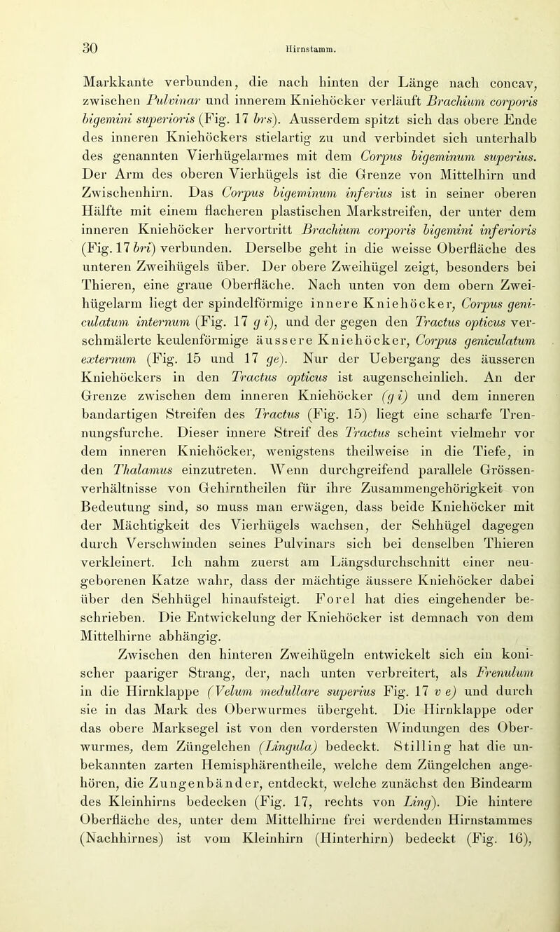 Markkante verbunden, die nach hinten der Länge nach concav, zwischen Pulvinar und innerem Kniehöcker verläuft Brachium corporis bigemini superioris (Fig. 17 brs). Ausserdem spitzt sich das obere Ende des inneren Kniehöckers stielartig zu und verbindet sich unterhalb des genannten Vierhügelarmes mit dem Corpus bigeminum supemus. Der Arm des oberen Vierhügels ist die Grenze von Mittelhirn und Zwischenhirn. Das Corpus bigeminum inferius ist in seiner oberen Hälfte mit einem flacheren plastischen Markstreifen, der unter dem inneren Kniehöcker hervortritt Brachium corporis bigemini inferioris (Fig. 17 bri) verbunden. Derselbe geht in die weisse Oberfläche des unteren Zweihügels über. Der obere Zweihügel zeigt, besonders bei Thieren, eine graue Oberfläche. Nach unten von dem obern Zwei- hügelarm liegt der spindelförmige innere Kniehöcker, Corpus geni- culatum internum (Fig. 17 g i)} und der gegen den Tractus opticus ver- schmälerte keulenförmige äussere Kniehöcker, Corpus geniculatum externum (Fig. 15 und 17 ge). Nur der Uebergang des äusseren Kniehöckers in den Tractus opticus ist augenscheinlich. An der Grenze zwischen dem inneren Kniehöcker (g i) und dem inneren bandartigen Streifen des Tractus (Fig. 15) liegt eine scharfe Tren- nungsfurche. Dieser innere Streif des Tractus scheint vielmehr vor dem inneren Kniehöcker, wenigstens theilweise in die Tiefe, in den Thalamus einzutreten. Wenn durchgreifend parallele Grössen- verhältnisse von Gehirntheilen für ihre Zusammengehörigkeit von Bedeutung sind, so muss man erwägen, dass beide Kniehöcker mit der Mächtigkeit des Vierhügels wachsen, der Sehhügel dagegen durch Verschwinden seines Pulvinars sich bei denselben Thieren verkleinert. Ich nahm zuerst am Längsdurchschnitt einer neu- geborenen Katze wahr, dass der mächtige äussere Kniehöcker dabei über den Sehhügel hinaufsteigt. Forel hat dies eingehender be- schrieben. Die Entwickelung der Kniehöcker ist demnach von dem Mittelhirne abhängig. Zwischen den hinteren Zweihügeln entwickelt sich ein koni- scher paariger Strang, der, nach unten verbreitert, als Frenulum in die Hirnklappe (Velum medulläre superius Fig. 17 v e) und durch sie in das Mark des Oberwurmes übergeht. Die Hirnklappe oder das obere Marksegel ist von den vordersten Windungen des Ober- wurmes, dem Züngelchen (Lingula) bedeckt. Stilling hat die un- bekannten zarten Hemisphärentheile, welche dem Züngelchen ange- hören, die Zungenbänder, entdeckt, welche zunächst den Bindearm des Kleinhirns bedecken (Fig. 17, rechts von Ling). Die hintere Oberfläche des, unter dem Mittelhirne frei werdenden Hirnstammes (Nachhirnes) ist vom Kleinhirn (Hinterhirn) bedeckt (Fig. 16),