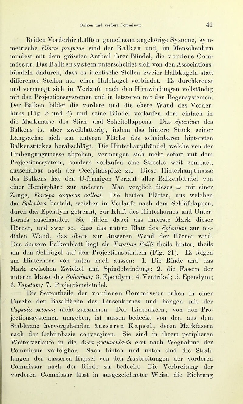 Beiden Vorderhirnhälften gemeinsam angehörige Systeme, sym- metrische Fibrae propriae sind der Balken und, im Menschenhirn mindest mit dem grössten Antheil ihrer Bündel, die vordere Com- missur. Das Balkensystem unterscheidet sich von den Associations- bündeln dadurch, dass es identische Stellen zweier Halbkugeln statt differenter Stellen nur einer Halbkugel verbindet. Es durchkreuzt und vermengt sich im Verlaufe nach den Hirnwindungen vollständig mit den Projectionssystemen und in letzteren mit den Bogensystemen. Der Balken bildet die vordere und die obere Wand des Vorder- hirns (Fig. 5 und 6) und seine Bündel verlaufen dort einfach in die Markmasse des Stirn- und Scheitellappens. Das Splenium des Balkens ist aber zweiblätterig, indem das hintere Stück seiner Längsachse sich zur unteren Fläche des scheinbaren hintersten Balkenstückes herabschlägt. Die Hinterhauptbündel, welche von der Umbeugungsmasse abgehen, vermengen sich nicht sofort mit dem Projectionssystem, sondern verlaufen eine Strecke weit compact, ausschälbar nach der Occipitalspitze zu. Diese Hinterhauptmasse des Balkens hat den U-förmigen Verlauf aller Balkenbündel von einer Hemisphäre zur anderen. Man verglich dieses L3 mit einer Zange, Forceps corporis callosi. Die beiden Blätter, aus welchen das Splenium besteht, weichen im Verlaufe nach dem Schläfelappen, durch das Ependym getrennt, zur Kluft des Hinterholmes und Unter- horne's auseinander. Sie bilden dabei das innerste Mark dieser Hörner, und zwar so, dass das untere Blatt des Splenium zur me- dialen Wand, das obere zur äusseren Wand der Hörner wird. Das äussere Balkenblatt liegt als Tapetum Reilii theils hinter, theils um den Sehhügel auf den Projectionsbündeln (Fig. 21). Es folgen am Hinterhorn von unten nach aussen: 1. Die Rinde und das Mark zwischen Zwickel und Spindelwindung; 2. die Fasern der unteren Masse des Splenium; 3. Ependym; 4. Ventrikel; 5. Ependym; 6. Tapetum; 7. Projectionsbündel. Die Seitentheile der vorderen Commissur ruhen in einer Furche der Basalfläche des Linsenkernes und hängen mit der Capsula externa nicht zusammen. Der Linsenkern, von den Pro- jectionssystemen umgeben, ist aussen bedeckt von der, aus dem Stabkranz hervorgehenden äusseren Kapsel, deren Markfasern nach der Gehirnbasis convergiren. Sie sind in ihrem peripheren Weiterverlaufe in die Ansa peduncularis erst nach Wegnahme der Commissur verfolgbar. Nach hinten und unten sind die Strah- lungen der äusseren Kapsel von den Ausbreitungen der vorderen Commissur nach der Rinde zu bedeckt. Die Verbreitung der vorderen Commissur lässt in ausgezeichneter Weise die Richtung