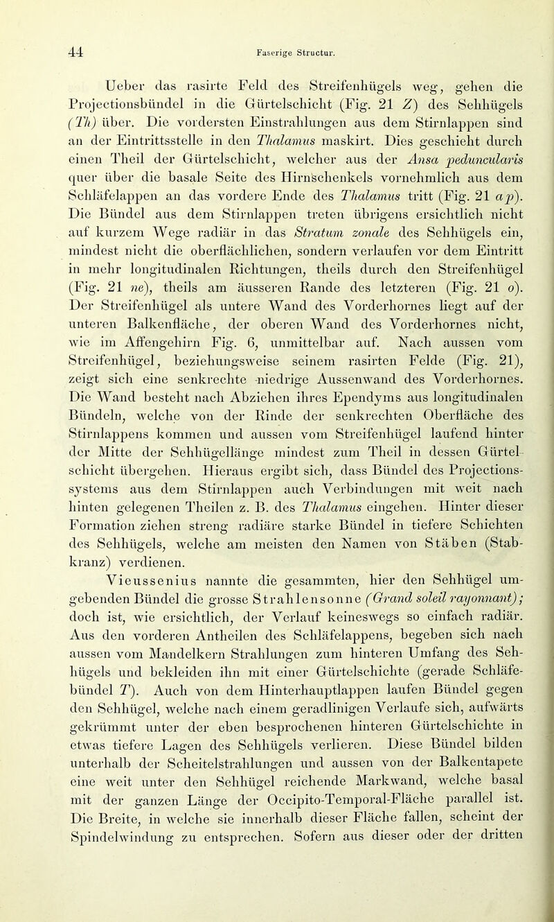 Ueber das rasirte Feld des Streifenhügels weg-, gehen die Projectionsbündel in die Gürtelschicht (Fig. 21 Z) des Sehhügels (Th) über. Die vordersten Einstrahlungen aus dem Stirnlappen sind an der Eintrittsstelle in den Thalamus maskirt. Dies geschieht durch einen Theil der Gürtelschicht, welcher aus der Ansa peduncularis quer über die basale Seite des Hirnschenkels vornehmlich aus dem Schläfelappen an das vordere Ende des Thalamus tritt (Fig. 21 ap). D ie Bündel aus dem Stirnlappen treten übrigens ersichtlich nicht auf kurzem Wege radiär in das Stratum zonale des Sehhügels ein, mindest nicht die oberflächlichen, sondern verlaufen vor dem Eintritt in mehr longitudinalen Richtungen, theils durch den Streifenhügel (Eig. 21 ne), theils am äusseren Rande des letzteren (Fig. 21 o). Der Streifenhügel als untere Wand des Vorderhornes liegt auf der unteren Balkenfläche, der oberen Wand des Vorderhornes nicht, wie im Affengehirn Fig. 6, unmittelbar auf. Nach aussen vom Streifenhügel, beziehungsweise seinem rasirten Felde (Fig. 21), zeigt sich eine senkrechte -niedrige Aussenwand des Vorderhornes. Die Wand besteht nach Abziehen ihres Ependy ms aus longitudinalen Bündeln, welche von der Rinde der senkrechten Oberfläche des Stirnlappens kommen und aussen vom Streifenhügel laufend hinter der Mitte der Sehhügellänge mindest zum Theil in dessen Gürtel Schicht übergehen. Hieraus ergibt sich, dass Bündel des Projections- systems aus dem Stirnlappen auch Verbindungen mit weit nach hinten gelegenen Theilen z. B. des Thalamus eingehen. Hinter dieser Formation ziehen streng radiäre starke Bündel in tiefere Schichten des Sehhügels, welche am meisten den Namen von Stäben (Stab- kranz) verdienen. Vieussenius nannte die gesammten, hier den Sehhügel um- gebenden Bündel die grosse Strahlen sonne (Grand soleil rayonnant); doch ist, wie ersichtlich, der Verlauf keineswegs so einfach radiär. Aus den vorderen Antheilen des Schläfelappens, begeben sich nach aussen vom Mandelkern Strahlungen zum hinteren Umfang des Seh- hügels und bekleiden ihn mit einer Gürtelschichte (gerade Schläfe- bündel T). Auch von dem Hinterhauptlappen laufen Bündel gegen den Sehhügel, welche nach einem geradlinigen Verlaufe sich, aufwärts gekrümmt unter der eben besprochenen hinteren Gürtelschichte in etwas tiefere Lagen des Sehhügels verlieren. Diese Bündel bilden unterhalb der Scheitelstrahlungen und aussen von der Balkentapete eine weit unter den Sehhügel reichende Markwand, welche basal mit der ganzen Länge der Occipito-Temporal-Fläche parallel ist. Die Breite, in welche sie innerhalb dieser Fläche fallen, scheint der Spindelwindung zu entsprechen. Sofern aus dieser oder der dritten