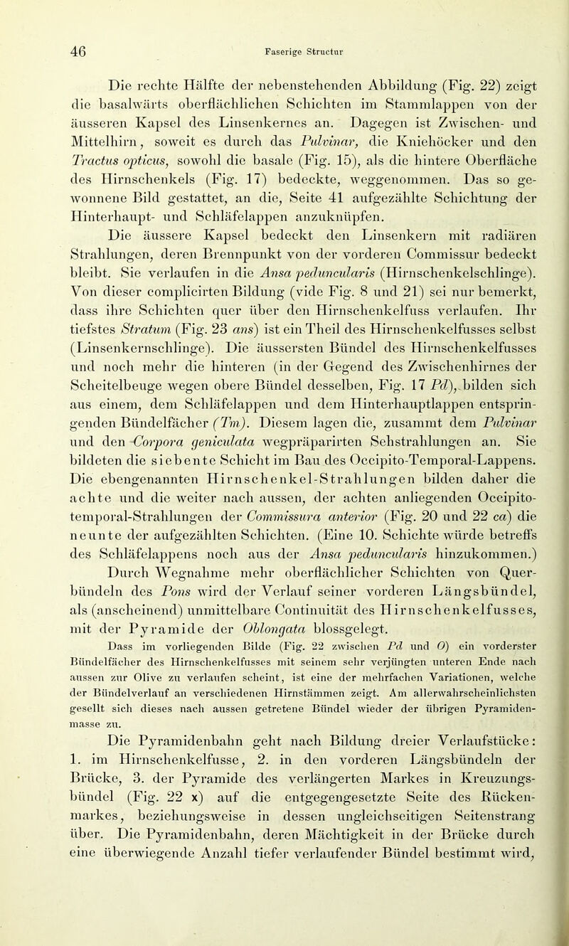 Die rechte Hälfte der nebenstehenden Abbildung (Fig. 22) zeigt die basalwärts oberflächlichen Schichten im Stammlappen von der äusseren Kapsel des Linsenkernes an. Dagegen ist Zwischen- und Mittelhirn, soweit es durch das Pulvinctr, die Kniehöcker und den Trcictus opticus, sowohl die basale (Fig. 15), als die hintere Oberfläche des Hirnschenkels (Fig. 17) bedeckte, weggenommen. Das so ge- wonnene Bild gestattet, an die, Seite 41 aufgezählte Schichtung der Hinterhaupt- und Schläfelappen anzuknüpfen. Die äussere Kapsel bedeckt den Linsenkern mit radiären Strahlungen, deren Brennpunkt von der vorderen Commissur bedeckt bleibt. Sie verlaufen in die Ansa peduncularis (Hirnschenkelschlinge). Von dieser complicirten Bildung (vide Fig. 8 und 21) sei nur bemerkt, dass ihre Schichten quer über den Hirnschenkelfuss verlaufen. Ihr tiefstes Stratum (Fig. 23 ans) ist ein Theil des Hirnschenkelfusses selbst (Linsenkernschlinge). Die äussersten Bündel des Hirnschenkelfusses und noch mehr die hinteren (in der Oegend des Zwischenhirnes der Scheitelbeuge wegen obere Bündel desselben, Fig. 17 Pd)y bilden sich aus einem, dem Schläfelappen und dem Hinterhauptlappen entsprin- genden Bündelfächer (Tm). Diesem lagen die, zusammt dem Pulvinar und den Corpora geniculata wegpräparirten SehStrahlungen an. Sie bildeten die siebente Schicht im Bau des Occipito-Temporal-Lappens. Die ebengenannten Hirnschenkel-Strahlungen bilden daher die achte und die weiter nach aussen, der achten anliegenden Occipito- temporal-Strahlungen der Commissura anterior (Fig. 20 und 22 ca) die neunte der aufgezählten Schichten. (Eine 10. Schichte würde betreffs des Schläfelappens noch aus der Ansa peduncularis hinzukommen.) Durch Wegnahme mehr oberflächlicher Schichten von Quer- bündeln des Pons wird der Verlauf seiner vorderen Längsbündel, als (anscheinend) unmittelbare Continuität des Hirnschenkelfusses, mit der Pyramide der Oblongata blossgelegt. Dass im vorliegenden Bilde (Fig. 22 zwischen Pd und O) ein vorderster Bündelfächer des Hirnschenkelfusses mit seinem sehr verjüngten unteren Ende nach aussen zur Olive zu verlaufen scheint, ist eine der mehrfachen Variationen, welche der Bündelverlauf an verschiedenen Hirnstämmen zeigt. Am allerwahrscheinlichsten gesellt sich dieses nach aussen getretene Bündel wieder der iihrig'en Pyramiden- masse zu. Die Pyramidenbahn geht nach Bildung dreier Verlaufstücke: 1. im Hirnsclienkelfusse, 2. in den vorderen Längsbündeln der Brücke, 3. der Pyramide des verlängerten Markes in Kreuzungs- bündel (Fig. 22 x) auf die entgegengesetzte Seite des Rücken- markes, beziehungsweise in dessen ungleichseitigen Seitenstrang über. Die Pyramidenbahn, deren Mächtigkeit in der Brücke durch eine überwiegende Anzahl tiefer verlaufender Bündel bestimmt wird,