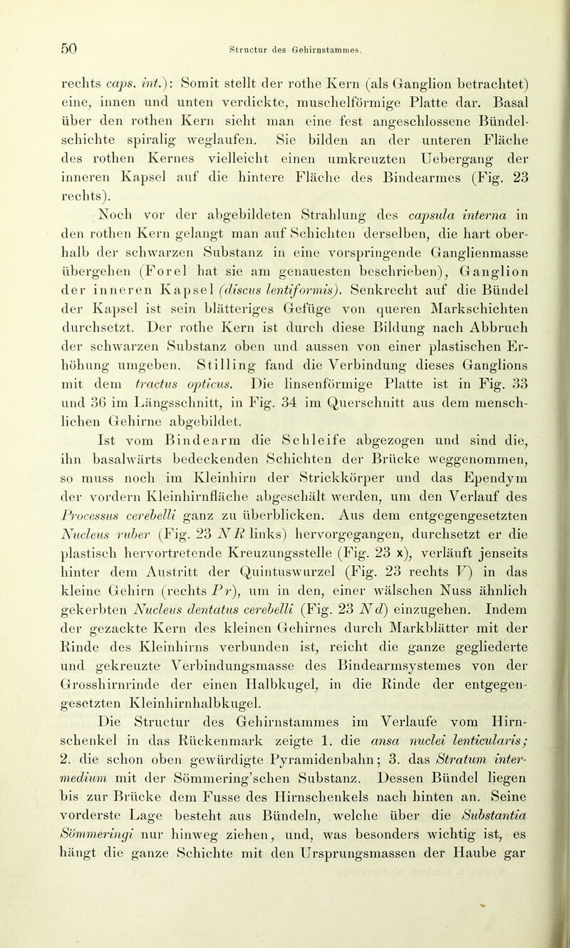 rechts caps. int.): Somit stellt der rothe Kern (als Ganglion betrachtet) eine, innen und unten verdickte, muschelförmige Platte dar. Basal über den rothen Kern sieht man eine fest angeschlossene Bündel- schichte spiralig weglaufen. Sie bilden an der unteren Fläche des rothen Kernes vielleicht einen umkreuzten Uebergang der inneren Kapsel auf die hintere Fläche des Bindearmes (Fig. 23 rechts). Noch vor der abgebildeten Strahlung des capsula interna in den rothen Kern gelangt man auf Schichten derselben, die hart ober- halb der schwarzen Substanz in eine vorspringende Ganglienmasse übergehen (Forel hat sie am genauesten beschrieben), Ganglion der inneren Kapsel (discus lentiformis). Senkrecht auf die Bündel der Kapsel ist sein blätteriges Gefüge von queren Markschichten durchsetzt. Der rothe Kern ist durch diese Bildung nach Abbruch der schwarzen Substanz oben und aussen von einer plastischen Er- höhung umgeben. Stilling fand die Verbindung dieses Ganglions mit dem tractas opticus. Die linsenförmige Platte ist in Fig. 33 und 36 im Längsschnitt, in Fig. 34 im Querschnitt aus dem mensch- lichen Gehirne abgebildet. Ist vom Bindearm die Schleife abgezogen und sind die, ihn basalwärts bedeckenden Schichten der Brücke weggenommen, so muss noch im Kleinhirn der Strickkörper und das Ependym der vordem Kleinhirnfläche abgeschält werden, um den Verlauf des Processus cerebelli ganz zu überblicken. Aus dem entgegengesetzten Nucleus ruber (Fig. 23 NR links) hervorgegangen, durchsetzt er die plastisch hervortretende Kreuzungsstelle (Fig. 23 x), verläuft jenseits hinter dem Austritt der Quintuswurzel (Fig. 23 rechts V) in das kleine Gehirn (rechts Pr), um in den, einer wälschen Nuss ähnlich gekerbten Nucleus dentatus cerebelli (Fig. 23 Nd) einzugehen. Indem der gezackte Kern des kleinen Gehirnes durch Markblätter mit der Rinde des Kleinhirns verbunden ist, reicht die ganze gegliederte und gekreuzte Verbindungsmasse des Bindearmsystemes von der Grosshirnrinde der einen Halbkugel, in die Rinde der entgegen- gesetzten Kleinhirnhalbkugel. Die Structur des Gehirnstammes im Verlaufe vom Hirn- schenkel in das Rückenmark zeigte 1. die ansa nuclei lenticularis; 2. die schon oben gewürdigte Pyramidenbahn; 3. das Stratum inter- medium mit der Sömmering’schen Substanz. Dessen Bündel liegen bis zur Brücke dem Fusse des Hirnschenkels nach hinten an. Seine vorderste Lage besteht aus Bündeln, welche über die Substantia Sömmeringi nur hinweg ziehen, und, was besonders wichtig ist, es hängt die ganze Schichte mit den Ursprungsmassen der Haube gar