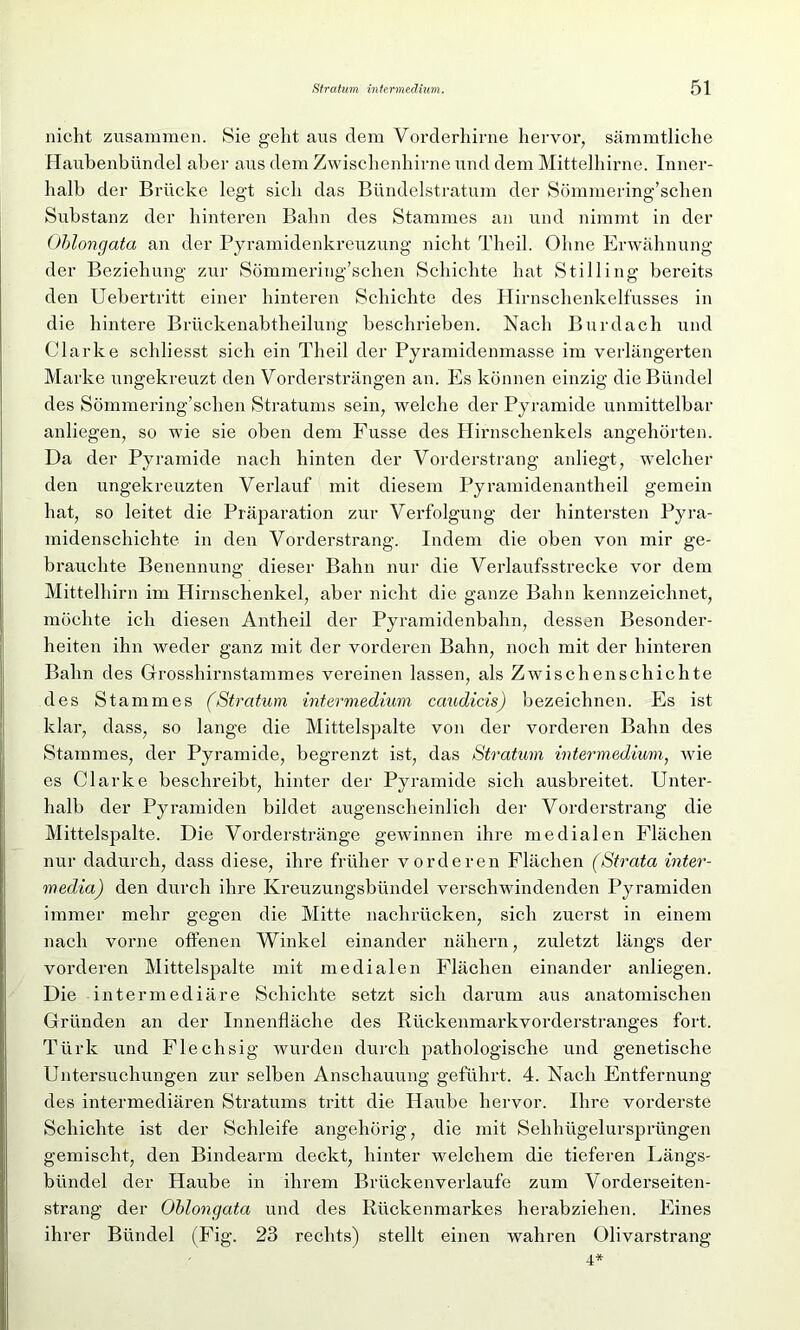 nicht zusammen. Sie geixt aus dem Vorderhirne hervor, sämmtliche Haubenbündel aber aus dem Zwischenhirne und dem Mittelhirne. Inner- halb der Brücke legt sich das Bündelstratum der Sömmering’schen Substanz der hinteren Bahn des Stammes an und nimmt in der Oblongata an der Pyramidenkreuzung nicht Theil. Ohne Erwähnung der Beziehung zur Sömmering’schen Schichte hat Stilling bereits den Uebertx-itt einer hinteren Schichte des Hirnschenkelfusses in die hintere Brückenabtheilung beschrieben. Nach Burdach und Clarke schliesst sich ein Theil der Pyramidenmasse im verlängerten Marke ungekreuzt den Vordersträngen an. Es können einzig die Bündel des Sömmei'ing’schen Sti’atums sein, welche der Pyramide unmittelbar anliegen, so wie sie oben dem Fusse des Hirnschenkels angehörten. Da der Pyramide nach hinten der Vordejgstrang anliegt, welcher den ungekreuzten Verlauf mit diesem Pyramidenantheil gemein hat, so leitet die Präparation zur Verfolgung der hintersten Pyra- midenschichte in den Vorderstrang. Indem die oben von mir ge- brauchte Benennung dieser Bahn nur die Verlaufsstrecke vor dem Mittelhirn im Hirnschenkel, aber nicht die ganze Bahn kennzeichnet, möchte ich diesen Antheil der Pyramidenbahn, dessen Besonder- heiten ihn weder gaxxz mit der vorderen Bahn, noch mit der hinteren Bahn des Grosshirnstammes vereinen lassen, als Zwischen schichte des Stammes (Stratum intermedium caudicis) bezeichnen. Es ist klar, dass, so lange die Mittelspalte von der vorderen Bahn des Stammes, der Pyramide, begrenzt ist, das Stratum intermedium, wie es Clarke beschreibt, hinter der Pyramide sich ausbreitet. Unter- halb der Pyramiden bildet augenscheinlich der Vorderstrang die Mittelspalte. Die Vorderstränge gewinnen ihre medialen Flächen nur dadurch, dass diese, ihre früher vorderen Flächen (Strata inter- media) den durch ihre Kreuzungsbündel verschwindenden Pyramiden immer mehr gegen die Mitte nachrücken, sich zuerst in einem nach vorne offenen Winkel einander nähern, zuletzt längs der vorderen Mittelspalte mit medialen Flächen einander anliegen. Die intermediäre Schichte setzt sich darum aus anatomischen Gründen an der Innenfläche des Rückenmarkvordersti’anges fort. Türk und Flechsig wurden durch pathologische und genetische Untersuchungen zur selben Anschauung geführt. 4. Nach Entfernung des intermediären Stratums tritt die Haube hervor. Ihre vorderste Schichte ist der Schleife angehörig, die mit Sehhügelurspi’üngen gemischt, den Bindearm deckt, hinter welchem die tieferen Längs- bündel der Haube in ihrem Brückenverlaufe zum Vorderseiten- strang der Oblongata und des Rückenmarkes herabziehen. Eines ihrer Bündel (Fig. 23 rechts) stellt einen wahren Olivarstrang 4*