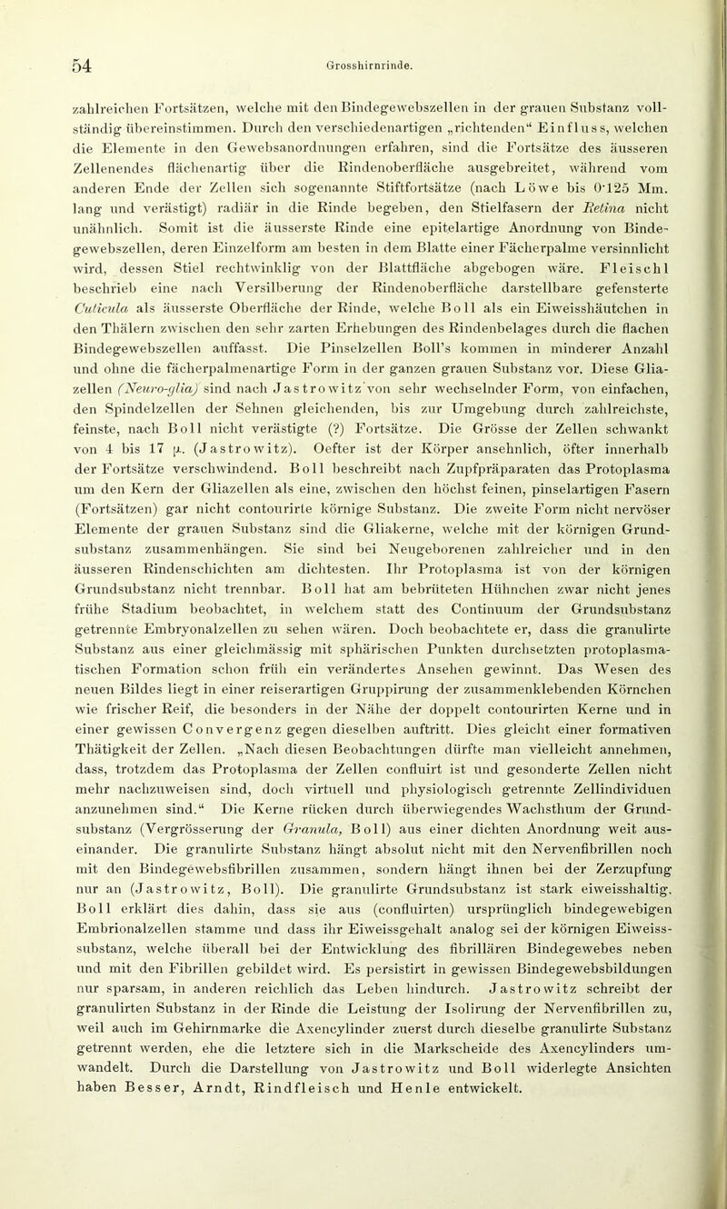 zahlreichen Fortsätzen, welche mit den Bindegewebszellen in der grauen Substanz voll- ständig übereinstimmen. Durch den verschiedenartigen „richtenden“ Einfluss, welchen die Elemente in den Gewebsanordnungen erfahren, sind die Fortsätze des äusseren Zellenendes flächenartig über die Rindenoberfläche ausgebreitet, während vom anderen Ende der Zellen sich sogenannte Stiftfortsätze (nach Löwe bis 0'125 Mm. lang und verästigt) radiär in die Rinde begeben, den Stielfasern der Retina nicht unähnlich. Somit ist die äusserste Rinde eine epitelartige Anordnung von Binde- gewebszellen, deren Einzelform am besten in dem Blatte einer Fächerpalme versinnlicht wird, dessen Stiel rechtwinklig von der Blattfläche abgebogen wäre. Fleischl beschrieb eine nach Versilberung der Rindenoberfläche darstellbare gefensterte Cuticula als äusserste Oberfläche der Rinde, welche Bo 11 als ein Eiweisshäutchen in den Thälern zwischen den sehr zarten Erhebungen des Rindenbelages durch die flachen Bindegewebszellen auffasst. Die Pinselzellen Boll’s kommen in minderer Anzahl und ohne die fächerpalmenartige Form in der ganzen grauen Substanz vor. Diese Glia- zellen (Neuro-gliaJ sind nach Jas trowitz von sehr wechselnder Form, von einfachen, den Spindelzellen der Sehnen gleichenden, bis zur Umgebung durch zahlreichste, feinste, nach Boll nicht verästigt.e (?) Fortsätze. Die Grösse der Zellen schwankt von 4 bis 17 p. (Jastrowitz). Oefter ist der Körper ansehnlich, öfter innerhalb der Fortsätze verschwindend. Boll beschreibt nach Zupfpräparaten das Protoplasma um den Kern der Gliazellen als eine, zwischen den höchst feinen, pinselartigen Fasern (Fortsätzen) gar nicht contourirle körnige Substanz. Die zweite Form nicht nervöser Elemente der grauen Substanz sind die Gliakerne, welche mit der körnigen Grund- substanz Zusammenhängen. Sie sind bei Neugeborenen zahlreicher und in den äusseren Rindenschichten am dichtesten. Ihr Protoplasma ist von der körnigen Grundsubstanz nicht trennbar. Boll hat am bebrüteten Hühnchen zwar nicht jenes frühe Stadium beobachtet, in welchem statt des Continuum der Grundsubstanz getrennte Embryonalzellen zu sehen wären. Doch beobachtete er, dass die granulirte Substanz aus einer gleiclimässig mit sphärischen Punkten durchsetzten protoplasma- tischen Formation schon früh ein verändertes Ansehen gewinnt. Das Wesen des neuen Bildes liegt in einer reiserartigen Gruppirung der zusammenklebenden Körnchen wie frischer Reif, die besonders in der Nähe der doppelt contourirten Kerne und in einer gewissen Convergenz gegen dieselben auftritt. Dies gleicht einer formativen Thätigkeit der Zellen. „Nach diesen Beobachtungen dürfte man vielleicht annehmen, dass, trotzdem das Protoplasma der Zellen confluirt ist und gesonderte Zellen nicht mehr nachzuweisen sind, doch virtuell und physiologisch getrennte Zellindividuen anzunehmen sind.“ Die Kerne rücken durch überwiegendes Wachsthum der Grund- substanz (Vergrösserung der Granula, Boll) aus einer dichten Anordnung weit aus- einander. Die granulirte Substanz hängt absolut nicht mit den Nervenfibrillen noch mit den Bindegewebsfibrillen zusammen, sondern hängt ihnen bei der Zerzupfung nur an (Jastrowitz, Boll). Die granulirte Grundsubstanz ist stark eiweisshaltig. Boll erklärt dies dahin, dass sie aus (confluirten) ursprünglich bindegewebigen Embrionalzellen stamme und dass ihr Eiweissgehalt analog sei der körnigen Eiweiss- substanz, welche überall bei der Entwicklung des fibrillären Bindegewebes neben und mit den Fibrillen gebildet wird. Es persistirt in gewissen Bindegewebsbildungen nur sparsam, in anderen reichlich das Leben hindurch. Jastrowitz schreibt der granulirten Substanz in der Rinde die Leistung der Isolirung der Nervenfibrillen zu, weil auch im Gehirnmarke die Axencylinder zuerst durch dieselbe granulirte Substanz getrennt werden, ehe die letztere sich in die Markscheide des Axencylinders um- wandelt. Durch die Darstellung von Jastrowitz und Boll widerlegte Ansichten haben Besser, Arndt, Rindfleisch und Henle entwickelt.