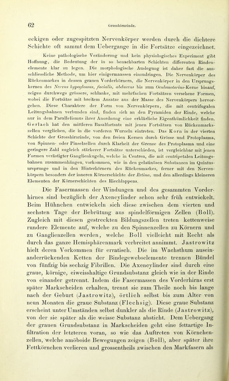 eckigen oder zugespitzten Nervenkörper werden durch die dichtere Schichte oft sammt dem Uebergange in die Fortsätze eingezeichnet. Keine pathologische Veränderung und kein physiologisches Experiment gibt Hoffnung, die Bedeutung der in so benachbarten Schichten differenten Rinden- elemente klar zu legen. Die morphologische Auslegung ist daher fast die aus- schliessliche Methode, um hier einigermaassen einzudringen. Die Nervenkörper des Rückenmarkes in dessen grauen Vorderhörnern, die Nervenkörper in den Ursprungs- kernen des Nervus lvypoglossus, facialis, abducens bis zum Oculomotorius-Kerne hinauf, zeigen durchwegs grössere, schlanke, mit mehrfachen Fortsätzen versehene Formen, wobei die Fortsätze mit breitem Ansätze aus der Masse des Nervenkörpers hervor- gehen. Diese Charaktere der Form von Nervenkörpern, die mit centrifugalen Leitungsbahnen verbunden sind, finden sich an den Pyramiden der Rinde, welche nur in dem Parallelismus ihrer Anordnung eine erklärliche Eigenthümlichkeit finden. Gerl ach hat den mittleren Basalfortsatz mit jenen Fortsätzen von Rückenmarks- zellen verglichen, die in die vorderen Wurzeln eintreten. Das Korn in der vierten Schichte der Grosshirnrinde, von den freien Kernen durch Grösse und Protoplasma, von Spinnen- oder Pinselzellen durch Klarheit der Grenze des Protoplasma und eine geringere Zahl zugleich stärkerer Fortsätze unterschieden, ist vergleichbar mit jenen Formen verästigter Ganglienkugeln, welche in Centren, die mit centripetalen Leitungs- bahnen Zusammenhängen, Vorkommen, wie in den gelatinösen Substanzen im Quintus- ursprunge und in den Hinterhörnern des Rückenmarkes, ferner mit den Nerven- körpern besonders der inneren Körnerschichte der Retina, und den allerdings kleineren Elementen der Körnerschichten des Riechlappens. Die Fasermassen der Windungen itnd des gesammten Vorder- liirnes sind bezüglich der Axencjdinder schon sehr früh entwickelt. Beim Hühnchen entwickeln sich diese zwischen dem vierten und sechsten Tage der Bebrütung aus spindelförmigen Zellen (Bo 11). Zugleich mit diesen gestreckten Bildungszellen treten kettenweise rundere Elemente auf, welche zu den Spinnenzellen zu Körnern und zu Ganglienzellen werden, welche Boll vielleicht mit Recht als durch das ganze Hemisphärenmark verbreitet annimmt. Jastrowitz hielt deren Vorkommen für erratisch. Die im Wachsthum ausein- anderrückenden Ketten der Bindegewebselemente trennen Bündel von fünfzig bis sechzig Fibrillen. Die Axencylinder sind durch eine graue, körnige, eiweisshaltige Grundsubstanz gleich wie in der Rinde von einander getrennt. Indem die Fasermassen des Vorderhirns erst später Markscheiden erhalten, trennt sie zum Tlieile noch bis lange nach der Geburt (Jastrowitz), örtlich selbst bis zum Alter von neun Monaten die graue Substanz (Flechsig). Diese graue Substanz erscheint unter Umständen selbst dunkler als die Rinde (Jastrowitz), von der sie später als die weisse Substanz absticht. Dem Uebergang der grauen Grundsubstanz in Markscheiden geht eine fettartige In- filtration der letzteren voran, so wie das Auftreten von Körnchen- zellen, welche amöboide Bewegungen zeigen (Boll), aber später ihre Fettkörnchen verlieren und grossentheils zwischen den Markfasern als