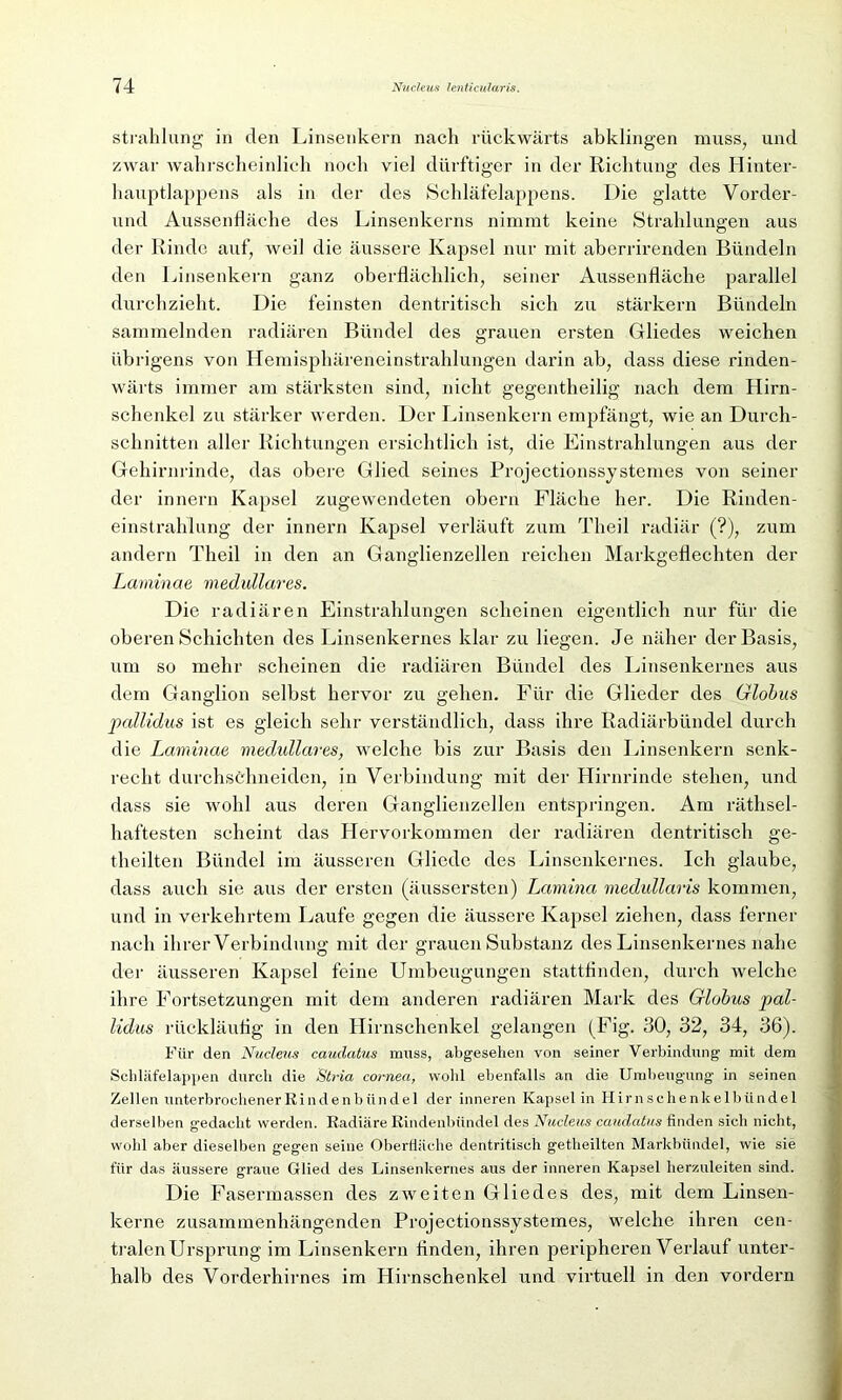 Strahlung in den Linsenkern nach rückwärts abklingen muss, und zwar wahrscheinlich noch viel dürftiger in der Richtung des Hinter- hauptlappens als in der des Schläfelappens. Die glatte Vorder- und Aussenfläche des Linsenkerns nimmt keine Strahlungen aus der Rinde auf, weil die äussere Kapsel nur mit aberrirenden Bündeln den Linsenkern ganz oberflächlich, seiner Aussenfläche parallel durchzieht. Die feinsten dentritisch sich zu stärkern Bündeln sammelnden radiären Bündel des grauen ersten Gliedes weichen übrigens von Hemisphäreneinstrahlungen darin ab, dass diese rinden- wärts immer am stärksten sind, nicht gegentheilig nach dem Hirn- schenkel zu stärker werden. Der Linsenkern empfängt, wie an Durch- schnitten aller Richtungen ersichtlich ist, die Einstrahlungen aus der Gehirnrinde, das obere Glied seines Projectionssystemes von seiner der innern Kapsel zugewendeten obern Fläche her. Die Rinden- einstrahlung der innern Kapsel verläuft zum Theil radiär (?), zum andern Theil in den an Ganglienzellen reichen Markgeflechten der Laminae medulläres. Die radiären Einstrahlungen scheinen eigentlich nur für die oberen Schichten des Linsenkernes klar zu liegen. Je näher der Basis, um so mehr scheinen die radiären Bündel des Linsenkernes aus dem Ganglion selbst hervor zu gehen. Für die Glieder des Globus pallidus ist es gleich sehr verständlich, dass ihre Radiärbündel durch die Laminae medulläres, welche bis zur Basis den Linsenkern senk- recht durchsehneiden, in Verbindung mit der Hirnrinde stehen, und dass sie wohl aus deren Ganglienzellen entspringen. Am räthsel- haftesten scheint das Hervorkommen der radiären dentritisch ge- theilten Bündel im äusseren Gliede des Linsenkernes. Ich glaube, dass auch sie aus der ersten (äussersten) Lamina medullaris kommen, und in verkehrtem Laufe gegen die äussere Kapsel ziehen, dass ferner nach ihrer Verbindung mit der grauen Substanz des Linsenkernes nahe der äusseren Kapsel feine Umbeugungen stattfinden, durch welche ihre Fortsetzungen mit dem anderen radiären Mark des Globus pal- lidus rückläufig in den Hirnschenkel gelangen (Fig. 30, 32, 34, 36). Für den Nucleus caudatus muss, abgesehen von seiner Verbindung mit dem Schläfelappen durch die Stria cornea, wohl ebenfalls an die Umbeugung' in seinen Zellen unterbrochener Ri n de n b iin de 1 der inneren Kapsel in Hirn schenkelbündel derselben g'edaebt werden. Radiäre Rindenbündel des Nucleus caudatus finden sich nicht, wohl aber dieselben gegen seine Oberfläche dentritisch getheilten Markbündel, wie sie für das äussere graue Glied des Linsenkernes aus der inneren Kapsel herzuleiten sind. Die Fasermassen des zweiten Gliedes des, mit dem Linsen- kerne zusammenhängenden Projectionssystemes, welche ihren cen- tralen Ursprung im Linsenkern finden, ihren peripheren Verlauf unter- halb des Vorderhirnes im Hirnschenkel und virtuell in den vordem