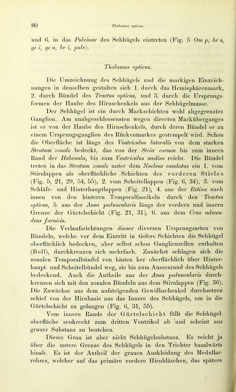 und G. in das Pulvinar des Seilhügels eintreten (Fig. 5 Om p, br s, ge i, ge a, bi- i) pulv). Thalamus opticus. Die Umzeiclmung des Sehliügels und die markigen Einzeich- nungen in denselben gestalten sich 1. durch das Hemisphärenmark, 2. durch Bündel des Tractus opticus, und 3. durch die Ursprungs- formen der Haube des Hirnschenkels aus der Sehhügelmasse. Der Sehhügel ist ein durch Markschichten wohl abgegrenztes Ganglion. Am unabgeschlossensten wegen directen Marküberganges ist er von der Haube des Hirnschenkels, durch deren Bündel er zu einem Ursprungsganglion des Rückenmarkes gestempelt wird. Schon die Oberfläche ist längs des Ventriculus lateralis von dem starken Stratum zonale bedeckt, das von der Stria cornea bis zum innern Rand der Habenula, bis zum Ventriculus medius reicht. Die Bündel treten in das Stratum zonale unter dem Nucleus caudatus ein 1. vom Stirnlappen als oberflächliche Schichten des vorderen Stieles (Fig. 5, 21, 29, 54, 55), 2. vom Scheitellappen (Fig. 6, 34), 3. vom Schläfe- und Hinterhauptlappen (Fig. 21), 4. aus der Retina nach innen von den hinteren Temporalfascikeln durch den Tractus opticus, 5. aus der Ansa peduncularis längs der vordem und innern Grenze der Gürtelschicht (Fig. 21, 31), 6. aus dem Crus adscen- dens fornicis. Die Verlaufsrichtungen dieser diversen Ursprungsarten von Bündeln, welche vor dem Eintritt in tiefere Schichten die Sehhiigel oberflächlich bedecken, aber selbst schon Ganglienzellen enthalten (Boll), durchkreuzen sich mehrfach. Zunächst schlagen sich die zonalen Temporalbündel von hinten her oberflächlich über Hinter- haupt- und Scheitelbündel weg, sie bis zum Aussenrand des Sehhügels bedeckend. Auch die Antheile aus der Ansa peduncularis durch- kreuzen sich mit den zonalen Bündeln aus dem Stirnlappen (Fig. 36). Die Zuwächse aus dem aufsteigenden Gewülbschenkel durchsetzen schief von der Hirnbasis aus das Innere des Sehhügels, um in die Gürtelschicht zu gelangen (Fig. 6, 31, 55). Vom innern Rande der Gürtelschicht fällt die Sehhügel- oberfläche senkrecht zum dritten Ventrikel ab und scheint aus grauer Substanz zu bestehen. Dieses Grau ist aber nicht Sehhügelsubstanz. Es reicht ja über die untere Grenze des Sehhügels in den Trichter basalwärts hinab. Es ist der Antheil der grauen Auskleidung des Medullar- rohr.es, welcher auf das primäre vordere Hirnbläschen, das spätere
