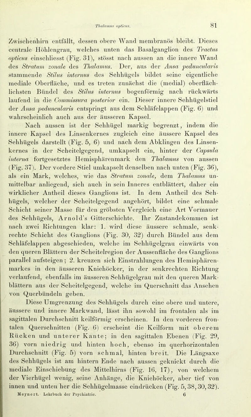 Zwischenhirn entfällt, dessen obere Wand membranös bleibt. Dieses centrale Höhlengrau, welches unten das Basalganglion des Tractus opticus einschliesst (Fig. 31), stösst nach aussen an die innere Wand des Stratum zonale des Thalamus. Der, aus der Ansa peduncularis stammende Stilus internus des Sehhügels bildet seine eigentliche mediale Oberfläche, und es treten zunächst die (medial) oberfläch- lichsten Bündel des Stilus internus bogenförmig nach rückwärts laufend in die Commissura posterior ein. Dieser innere Sehhiigelstiel der Ansa peduncularis entspringt aus dem Schläfelappen (Fig. 6) und wahrscheinlich auch aus der äusseren Kapsel. Nach aussen ist der Sehhügel markig begrenzt, indem die innere Kapsel des Linsenkernes zugleich eine äussere Kapsel des Sehhügels darstellt (Fig. 5, 6) und nach dem Abklingen des Linsen- kernes in der Scheitelgegend, umkapselt ein, hinter der Capsula interna fortgesetztes Hemisphärenmark den Thalamus von aussen (Fig. 37). Der vordere Stiel umkapselt denselben nach unten (Fig. 36), als ein Mark, welches, wie das Stratum zonale, dem Thalamus un- mittelbar anliegend, sich auch in sein Inneres entblättert, daher ein wirklicher Antheil dieses Ganglions ist. In dem Antheil des Seh- hügels, welcher der Scheitelgegend angehört, bildet eine schmale Schicht seiner Masse für den gröbsten Vergleich eine Art Vormauer des Sehhügels, Arnold’s Gitterschichte. Ihr Zustandekommen ist nach zwei Richtungen klar: 1. wird diese äussere schmale, senk- rechte Schicht des Ganglions (Fig. 30, 32) durch Bündel aus dem Schläfelappen abgeschieden, welche im Sehhügelgrau einwärts von den queren Blättern der Scheitelregion der Aussenfläche des Ganglions parallel aufsteigen; 2. kreuzen sich Einstrahlungen des Hemisphären- markes in den äusseren Kniehöcker, in der senkrechten Richtung verlaufend, ebenfalls im äusseren Sehhügelgrau mit den queren Mark- blättern aus der Scheitelgegend, welche im Querschnitt das Ansehen von Querbündeln geben. Diese Umgrenzung des Sehhügels durch eine obere und untere, äussere und innere Markwand, lässt ihn sowohl im frontalen als im sagittalen Durchschnitt keilförmig erscheinen. In den vorderen fron- talen Querschnitten (Fig. 6) erscheint die Keilform mit oberem Rücken und unterer Kante; in den sagittalen Ebenen (Fig. 29, 36) vorn niedrig und hinten hoch, ebenso im querhorizontalen Durchschnitt (Fig. 5) vorn schmal, hinten breit. Die Längsaxe des Sehhügels ist am hintern Ende nach aussen geknickt durch die mediale Einschiebung des Mittelhirns (Fig. 16, 17), von welchem der Vierhügel wenig, seine Anhänge, die Kniehöcker, aber tief von innen und unten her die Sehhügelmasse eindrücken (Fig. 5,38,30,32). Meynert. Lehrbuch der Psychiatrie. 6