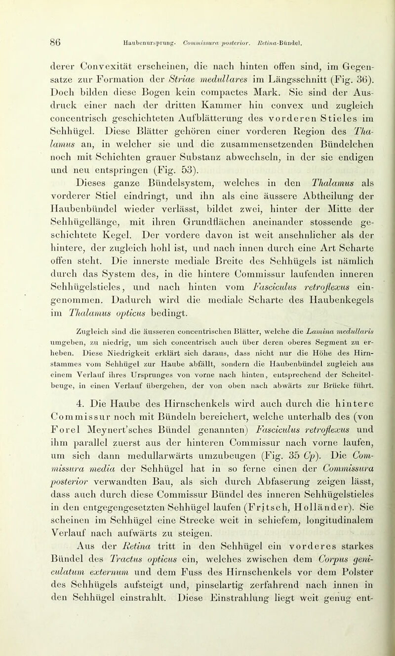 derer Convexität erscheinen, die nach hinten offen sind, im Gegen- sätze zur Formation der Striae medulläres im Längsschnitt (Fig. 36). Doch bilden diese Bogen kein compactes Mark. Sie sind der Aus- druck einer nach der dritten Kammer hin convex und zugleich concentrisch geschichteten Aufblätterung des vorderen Stieles im Sehhügel. Diese Blätter gehören einer vorderen Region des Tha- lamus an, in welcher sie und die zusammensetzenden Bündelchen noch mit Schichten grauer Substanz abwechseln, in der sie endigen und neu entspringen (Fig. 53). Dieses ganze Bündelsystem, welches in den Thalamus als vorderer Stiel eindringt, und ihn als eine äussere Abtlieilung der Haubenbündel wieder verlässt, bildet zwei, hinter der Mitte der Sehhügellänge, mit ihren Grundflächen aneinander stossende ge- schichtete Kegel. Der vordere davon ist weit ansehnlicher als der hintere, der zugleich hohl ist, und nach innen durch eine Art Scharte offen steht. Die innerste mediale Breite des Sehhügels ist nämlich durch das System des, in die hintere Commissur laufenden inneren Sehhügelstieles, und nach hinten vom Fasciculus retroßexus ein- genommen. Dadurch wird die mediale Scharte des Haubenkegels im Thalamus opticus bedingt. Zugleich sind die äusseren concentrischen Blätter, welche die Lamina medullaris umgeben, zu niedrig, um sich concentrisch auch über deren oberes Segment zu er- heben. Diese Niedrigkeit erklärt sich daraus, dass nicht nur die Höhe des Hirn- stammes vom Sehhügel zur Haube abfällt, sondern die Haubenbündel zugleich aus einem Verlauf ihres Ursprunges von vorne nach hinten, entsprechend der Scheitel- beuge, in einen Verlauf übergehen, der von oben nach abwärts zur Brücke führt. 4. Die Haube des Hirnschenkels wird auch durch die hintere Commissur noch mit Bündeln bereichert, welche unterhalb des (von Forel Meynert’sches Bündel genannten) Fasciculus retroßexus und ihm parallel zuerst aus der hinteren Commissur nach vorne laufen, um sich dann medullarwärts umzubeugen (Fig. 35 Cp). Die Com- missura media der Sehhiigel hat in so ferne einen der Commissura posterior verwandten Bau, als sich durch Abfaserung zeigen lässt, dass auch durch diese Commissur Bündel des inneren Sehhügelstieles in den entgegengesetzten Sehhügel laufen (Fritsch, Holländer). Sie scheinen im Sehhügel eine Strecke weit in schiefem, longitudinalem Verlauf nach aufwärts zu steigen. Aus der Retina tritt in den Sehhügel ein vorderes starkes Bündel des Tractus opticus ein, welches zwischen dem Corpus geni- culatum externum und dem Fuss des Hirnschenkels vor dem Polster des Sehhügels aufsteigt und, pinselartig zerfahrend nach innen in den Sehhiigel einstrahlt. Diese Einstrahlung liegt weit genug ent-