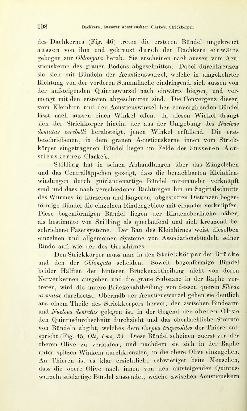 des Dachkernes (Fig. 46) treten die ersteren Bündel ungekreuzt aussen von ihm und gekreuzt durch den Dachkern einwärts gebogen zur Oblongata herab. Sie erscheinen nach aussen vom Acu- sticuskerne des grauen Bodens abgeschnitten. Dabei durchkreuzen sie sich mit Bündeln der Acusticuswurzel, welche in umgekehrter Richtung von der vorderen Stammfläche eindringend, sich aussen von der aufsteigenden Quintuswurzel nach einwärts biegen, und ver- mengt mit den ersteren abgeschnitten sind. Die Convergenz dieser, vom Kleinhirn und der Acusticuswurzel her convergirenden Bündel lässt nach aussen einen Winkel offen. In diesen Winkel drängt sich der Strickkörper hinein, der aus der Umgebung des Nucleus dentatus cerebelli herabsteigt, jenen Winkel erfüllend. Die erst- beschriebenen, in dem grauen Acusticuskerne innen vom Strick- körper eingetragenen Bündel liegen im Felde des äusseren Acu- sticuskernes Clarke’s. Stilling hat in seinen Abhandlungen über das Züngelchen und das Centralläppchen gezeigt, dass die benachbarten Kleinhirn- windungen durch guirlandenartige Bündel miteinander verknüpft sind und dass nach verschiedenen Richtungen hin im Sagittalschnitte des Wurmes in kürzeren und längeren, abgestuften Distanzen bogen- förmige Bündel die einzelnen Rindengebiete mit einander verknüpfen. Diese bogenförmigen Bündel liegen der Rindenoberfläche näher, als bestimmte von Stilling als querlaufend und sich kreuzend be- schriebene Fasersysteme. Der Bau des Kleinhirnes weist dieselben einzelnen und allgemeinen Systeme von Associationsbündeln seiner Rinde auf, wie der des Grosshirnes. Den Strickkörper muss man in den Strickkörper der Brücke und den der Oblongata scheiden. Soweit bogenförmige Bündel beider Hälften der hinteren Brückenabtheilung nicht von deren Nervenkernen ausgehen und die graue Substanz in der Raphe ver- treten, wird die untere Brückenabtheilung von dessen queren Fibrae arcuatae durchsetzt. Oberhalb der Acusticuswurzel gehen sie deutlich aus einem Theile des Strickkörpers hervor, der zwischen Bindearm und Nudeus dentatus gelegen ist, in der Gegend der oberen Olive den Quintusdurchschnitt durchzieht und das oberflächliche Stratum von Bündeln abgibt, welches dem Corpus trapezoides der Thiere ent- spricht (Fig. 45, Ols, Lms, 5). Diese Bündel scheinen zuerst vor der oberen Olive zu verlaufen, und nachdem sie sich in der Raphe unter spitzen Winkeln durchkreuzten, in die obere Olive einzugehen. An Thieren ist es klar ersichtlich, schwieriger beim Menschen, dass die obere Olive nach innen von den aufsteigenden Quintus- wurzeln stielartige Bündel aussendet, welche zwischen Acusticuskern