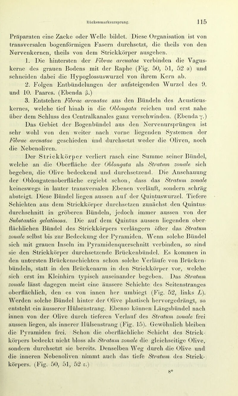 Präparaten eine Zacke oder Welle bildet. Diese Organisation ist von transversalen bogenförmigen Fasern durchsetzt, die tlieils von den Nervenkernen, theils von dem Strickkörper ausgehen. 1. Die hintersten der Fibrae arcuatae verbinden die Vagus- kerne des grauen Bodens mit der Raphe (Fig. 50, 51, 52 a) und schneiden dabei die Hypoglossuswurzel von ihrem Kern ab. 2. Folgen Entbündelungen der aufsteigenden Wurzel des 9. und 10. Paares. (Ebenda ß.) 3. Entstehen Fibrae arcuatae aus den Bündeln des Acusticus- kernes, welche tief hinab in die Oblongata reichen und erst nahe über dem Schluss des Centralkanales ganz verschwinden. (Ebenda y.) Das Gebiet der Bogenbündel aus den Nervenursprüngen ist sehr wohl von den weiter nach vorne liegenden Systemen der Fibrae arcuatae geschieden und durchsetzt weder die Oliven, noch die Nebenoliven. Der Strickkörper verliert rasch eine Summe seiner Bündel, welche an die Oberfläche der Oblongata als Stratum zonale sich begeben, die Olive bedeckend und durchsetzend. Die Anschauung der Oblongatenoberfläche ergiebt schon, dass das Stratum zonale keineswegs in lauter transversalen Ebenen verläuft, sondern schräg absteigt. Diese Bündel liegen aussen auf der Quintuswurzel. Tiefere Schichten aus dem Strickkörper durchsetzen zunächst den Quintus- durchschnitt in gröberen Bündeln, jedoch immer aussen von der Substantia gelatinosa. Die auf dem Quintus aussen liegenden ober- flächlichen Bündel des Strickkörpers verlängern öfter das Stratum zonale selbst bis zur Bedeckung der Pyramiden. Wenn solche Bündel sich mit grauen Inseln im Pyramidenquerschnitt verbinden, so sind sie den Strickkörper durchsetzende Brückenbündel. Es kommen in den untersten Brückenschichten schon solche Verläufe von Brücken- bündeln, statt in den Brückenarm in den Strickkörper vor, welche sich erst im Kleinhirn typisch auseinander begeben. Das Stratum zonale lässt dagegen meist eine äussere Schichte des Seitenstranges oberflächlich, den es von innen her umbiegt (Fig. 52, links L). Werden solche Bündel hinter der Olive plastisch hervorgedrängt, so entsteht ein äusserer Hülsenstrang. Ebenso können Längsbündel nach innen von der Olive durch tieferen Verlauf des Stratum zonale frei aussen liegen, als innerer Hülsenstrang (Fig. 15). Gewöhnlich bleiben die Pyramiden frei. Schon die oberflächliche Schicht des Strick- körpers bedeckt nicht bloss als Stratum zonale die gleichseitige Olive, sondern durchsetzt sie bereits. Denselben Weg durch die Olive und die inneren Nebenoliven nimmt auch das tiefe Stratum des Strick- körpers. (Fig. 50, 51, 52 s.) 8*