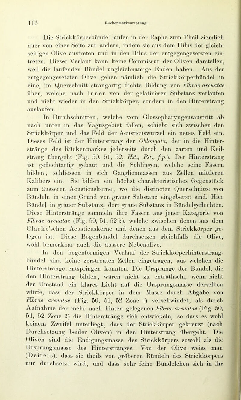 Die Strickkörperbündel laufen in der Raphe zum Theil ziemlich quer von einer Seite zur andern, indem sie aus dem Hilus der gleich- seitigen Olive austreten und in den Hilus der entgegengesetzten ein- treten. Dieser Verlauf kann keine Commissur der Oliven darstellen, weil die laufenden Bündel ungleichnamige Enden haben. Aus der entgegengesetzten Olive gehen nämlich die Strickkörperbündel in eine, im Querschnitt strangartig dichte Bildung von Fibrae arcuatae über, welche nach innen von der gelatinösen Substanz verlaufen und nicht wieder in den Strickkörper, sondern in den Hinterstrang auslaufen. In Durchschnitten, welche vom Glossopharyngeusaustritt ab nach unten in das Vagusgebiet fallen, schiebt sich zwischen den Strickkörper und das Feld der Acusticuswurzel ein neues Feld ein. Dieses Feld ist der Hinterstrang der Oblongata, der in die Hinter- stränge des Rückenmarkes jederseits durch den zarten und Keil- strang übergeht (Fig. 50, 51, 52, Hst., Pst., fp.). Der Hinterstrang ist geflechtartig gebaut und die Schlingen, welche seine Fasern bilden , schliessen in sich Ganglienmassen aus Zellen mittleren Kalibers ein. Sie bilden ein höchst charakteristisches Gegenstück zum äusseren Acusticuskerne, wo die distincten Querschnitte von Bündeln in einen Grund von grauer Substanz eingebettet sind. Hier Bündel in grauer Substanz, dort graue Substanz in Bündelgeflechten. Diese Hinterstränge sammeln ihre Fasern aus jener Kategorie von Fibrae arcuatae (Fig. 50, 51, 52 o), welche zwischen denen aus dem Clarke’sehen Acusticuskerne und denen aus dem Strickkörper ge- legen ist. Diese Bogenbündel durchsetzen gleichfalls die Olive, wohl bemerkbar auch die äussere Nebenolive. In den bogenförmigen Verlauf der Strickkörperhinterstrang- bündel sind keine zerstreuten Zellen eingetragen, aus welchen die Hinterstränge entspringen könnten. Die Ursprünge der Bündel, die den Hinterstrang bilden, wären nicht zu enträthseln, wenn nicht der Umstand ein klares Licht auf die Ursprungsmasse derselben würfe, dass der Strickkörper in dem Masse durch Abgabe von Fibrae arcuatae (Fig. 50, 51, 52 Zone z) verschwindet, als durch Aufnahme der mehr nach hinten gelegenen Fibrae arcuatae (Fig. 50, 51, 52 Zone 8) die Hinterstränge sich entwickeln, so dass es wohl keinem Zweifel unterliegt, dass der Strickkörper gekreuzt (nach Durchsetzung beider Oliven) in den Hinterstrang übergeht. Die < fliven sind die Endigungsmasse des Strickkörpers sowohl als die Ursprungsmasse des Hinterstranges. Von der Olive weiss man (Deiters), dass sie theils von gröberen Bündeln des Strickkörpers nur durchsetzt wird, und dass sehr feine Bündelchen sich in ihr