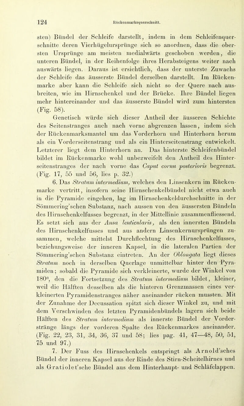 steil) Bündel der Schleife darstellt, indem in dem Schleifenquer- sclmitte deren Vierhügelursprünge sich so anordnen, dass die ober- sten Ursprünge am meisten medialwärts geschoben werden, die unteren Bündel, in der Reihenfolge ihres Iderabsteigens weiter nach auswärts liegen. Daraus ist ersichtlich, dass der unterste Zuwachs der Schleife das äusserste Bündel derselben darstellt. Im Rücken- marke aber kann die Schleife sich nicht so der Quere nach aus- breiten, wie im Hirnschenkel und der Brücke. Bire Bündel liegen mehr hintereinander und das äusserste Bündel wird zum hintersten (Fig. 58). Genetisch würde sich dieser Antheil der äusseren Schichte des Seitenstranges auch nach vorne abgrenzen lassen, indem sich der Rückenmarksmantel um das Vorderhorn und Hinterhorn herum als ein Vorderseitenstrang und als ein Hinterseitenstrang entwickelt. Letzterer liegt dem Hinterhorn an. Das hinterste Schleifenbündel bildet im Rückenmarke wohl unbezweifelt den Antheil des Hinter- seitenstranges der nach vorne das Caput cornu posterioris begrenzt. (Fig. 17, 55 und 56, lies p. 32.) 6. Das Stratum intermedium, welches den Linsenkern im Rücken- marke vertritt, insofern seine Hirnschenkelbündel nicht etwa auch in die Pyramide emgehen, lag im Hirnschenkeldurchschnitte in der Sömmering’sehen Substanz, nach aussen von den äussersten Bündeln des Ilirnschenkelfusses begrenzt, in der Mittellinie zusammenfliessend. Es setzt sich aus der Ansa lenticularis, als den innersten Bündeln des Ilirnschenkelfusses und aus andern Linsenkernursprüngen zu- sammen, welche mittelst Durchflechtung des Hirnschenkelfusses, beziehungsweise der inneren Kapsel, in die lateralen Partien der Sömmering’schen Substanz eintreten. An der Oblongata liegt dieses Stratum noch in derselben Querlage unmittelbar hinter den Pyra- miden ; sobald die Pyramide sich verkleinerte, wurde der Winkel von 180°, den die Fortsetzung des Stratum intermedium bildet, kleiner, weil die Hälften desselben als die hinteren Grenzmassen eines ver- kleinerten Pyramidenstranges näher aneinander rücken mussten. Mit der Zunahme der Decussation spitzt sich dieser Winkel zu, und mit dem Verschwinden des letzten Pyramidenbündels lagern sich beide Hälften des Stratum intermedium als innerste Bündel der Vorder- stränge längs der vorderen Spalte des Rückenmarkes aneinander. (Fig. 22, 23, 31, 34, 36, 37 und 58; lies pag. 41, 47—48, 50, 51, 75 und 97.) 7. Der Fuss des Hirnschenkels entspringt als Arnold’sches Bündel der inneren Kapsel aus der Rinde des Stirn-Scheitelhirnes und als Gratiolet’sche Bündel aus dem Hinterhaupt- und Schläfelappen.