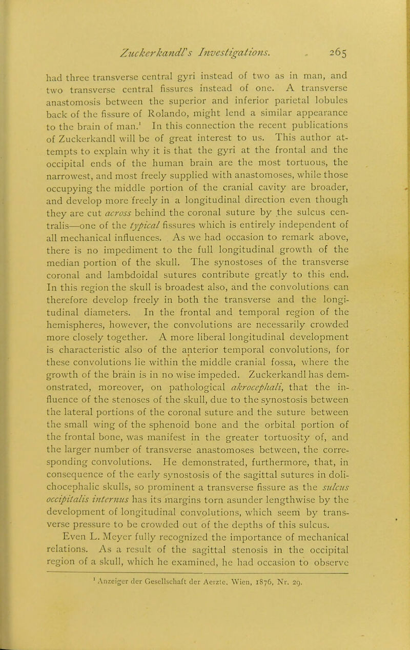 had three transverse central gyri instead of two as in man, and two transverse central fissures instead of one. A transverse anastomosis between the superior and inferior parietal lobules back of the fissure of Rolando, might lend a similar appearance to the brain of man.' In this connection the recent publications of Zuckerkandl will be of great interest to us. This author at- tempts to explain why it is that the gyri at the frontal and the occipital ends of the human brain are the most tortuous, the narrowest, and most freely supplied with anastomoses, while those occupying the middle portion of the cranial cavity arc broader, and develop more freely in a longitudinal direction even though they are cut across behind the coronal suture by the sulcus cen- tralis—one of the typical fissures which is entirely independent of all mechanical influences. As we had occasion to remark above, there is no impediment to the full longitudinal growth of the median portion of the skull. The synostoses of the transverse coronal and lambdoidal sutures contribute greatly to this end. In this region the skull is broadest also, and the convolutions can therefore develop freely in both the transverse and the longi- tudinal diameters. In the frontal and temporal region of the hemispheres, however, the convolutions are necessarily crowded more closely together. A more liberal longitudinal development is characteristic also of the anterior temporal convolutions, for these convolutions lie within the middle cranial fossa, where the growth of the brain is in no wise impeded. Zuckerkandl has dem- onstrated, moreover, on pathological akroccphali, that the in- fluence of the stenoses of the skull, due to the synostosis between the lateral portions of the coronal suture and the suture between the small wing of the sphenoid bone and the orbital portion of the frontal bone, was manifest in the greater tortuosity of, and the larger number of transverse anastomoses between, the corre- sponding convolutions. He demonstrated, furthermore, that, in consequence of the early synostosis of the sagittal sutures in doli- chocephalic skulls, so prominent a transverse fissure as the sulcus occipitalis interims has its margins torn asunder lengthwise by the development of longitudinal convolutions, which seem by trans- verse pressure to be crowded out of the depths of this sulcus. Even L. Meyer fully recognized the importance of mechanical relations. As a result of the sagittal stenosis in the occipital region of a skull, which he examined, he had occasion to observe 1 Anzeiger der Gesellschaft der Aerztc. Wien, 1876, Nr. 29.