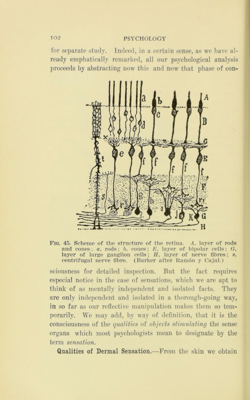 for separate study. Indeed, in a certain sense, as we liave al- ready emphatically remarked, all oiir psychological analysis proceeds by abstracting now this and now that phase of con- Fig. 45. Scheme of the structure of the retina. .1. layer of rods and cones; a, rods; b, cones; E, layer of bipolar cells; (/, layer of larf?e ganjilion cells; H, layer of nerve fibres; s, centrifugal nerve fibre. (Barker after Kainon y Cajal.) sciousness for detailed inspection. But tlie fact requires especial notice in the case of sensations, which we are apt to think of as mentally iiulependent and isolated facts. They are only independent and isolated in a thorough-going way, in so far as our reflective luauipulation makes them so tem- porarily. We may add, by way of definition, that it is the consciousness of the qualiiics of ohjects stimulating the sense organs which most psychologists mean to designate by the term sensation. Qualities of Dermal Sensation.—From the skin we obtain